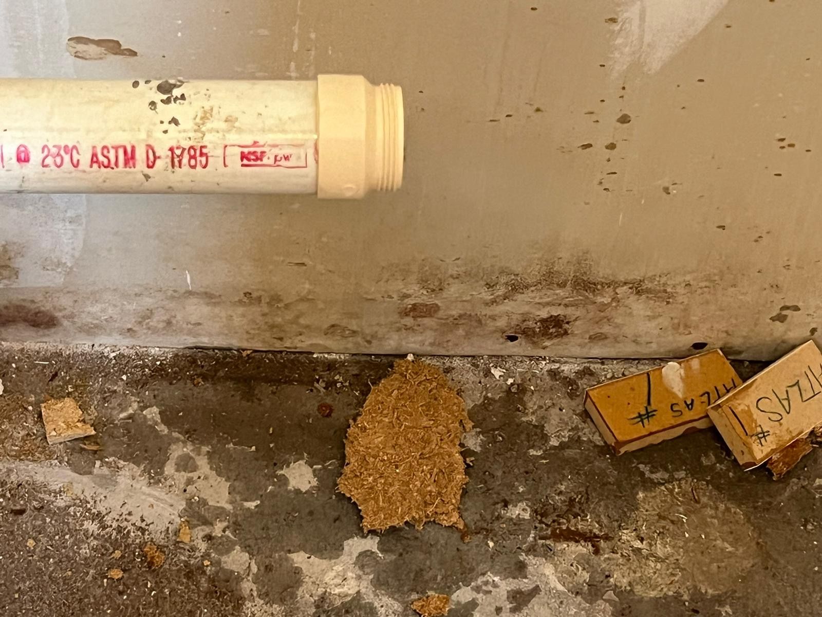  for N&D Restoration Services When Disaster Strikes, We Come In in Cape Coral,  FL