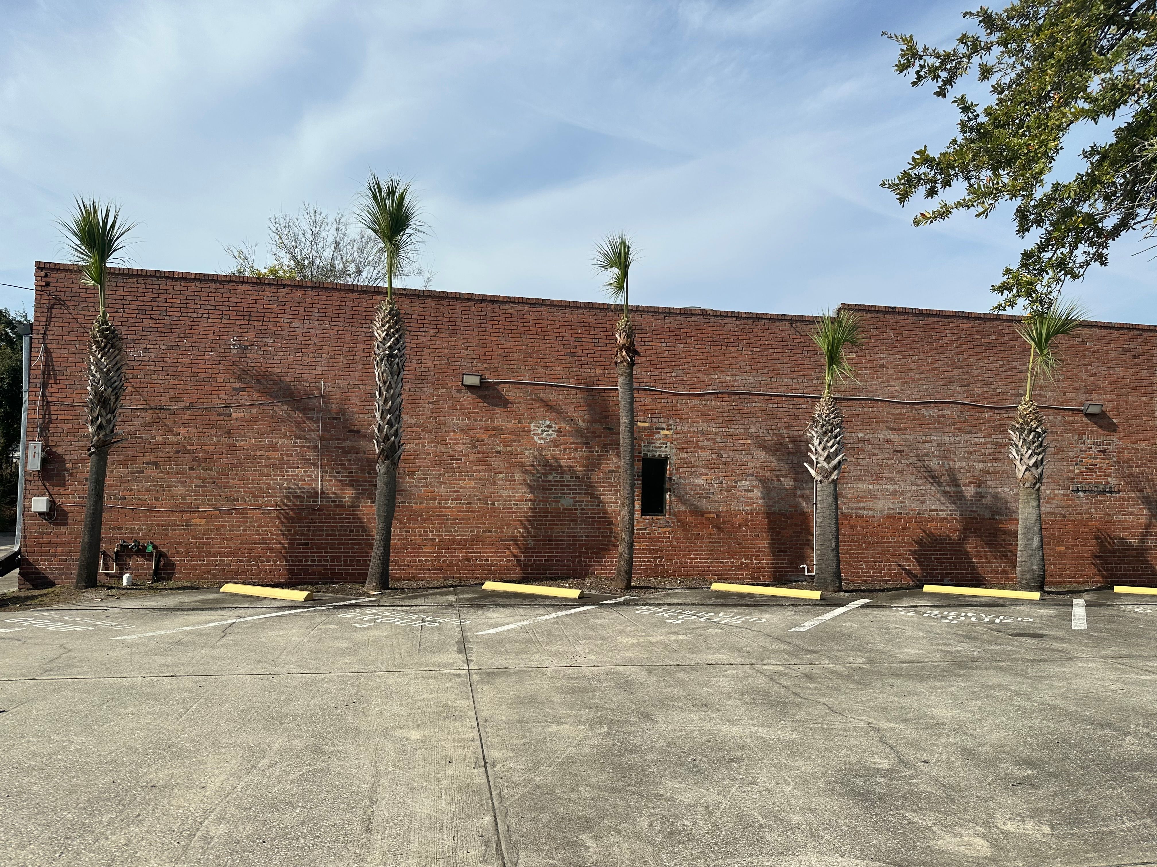 All Photos for All of the Above Landscaping in Orange Park, FL