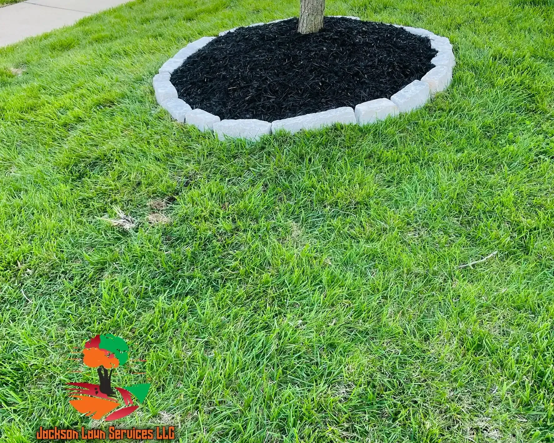  for Jackson Lawn Services LLC in St Louis, MO