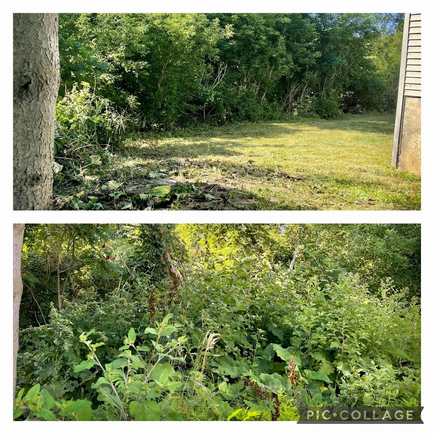 All Photos for Bishop’s Property Maintenance in Franklin, VT