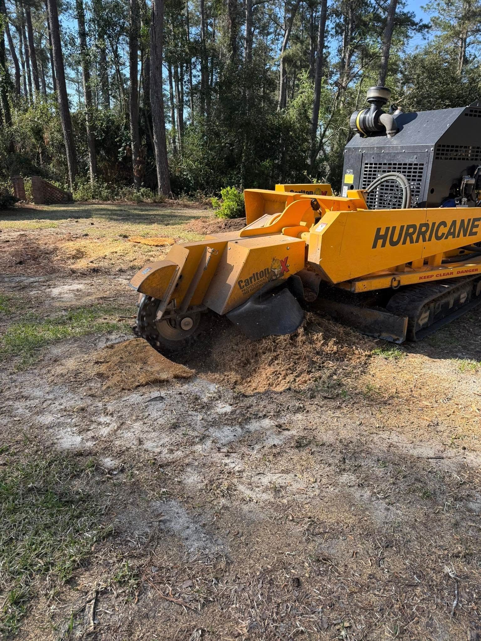  for Dozier Stump Grinding in Augusta, GA