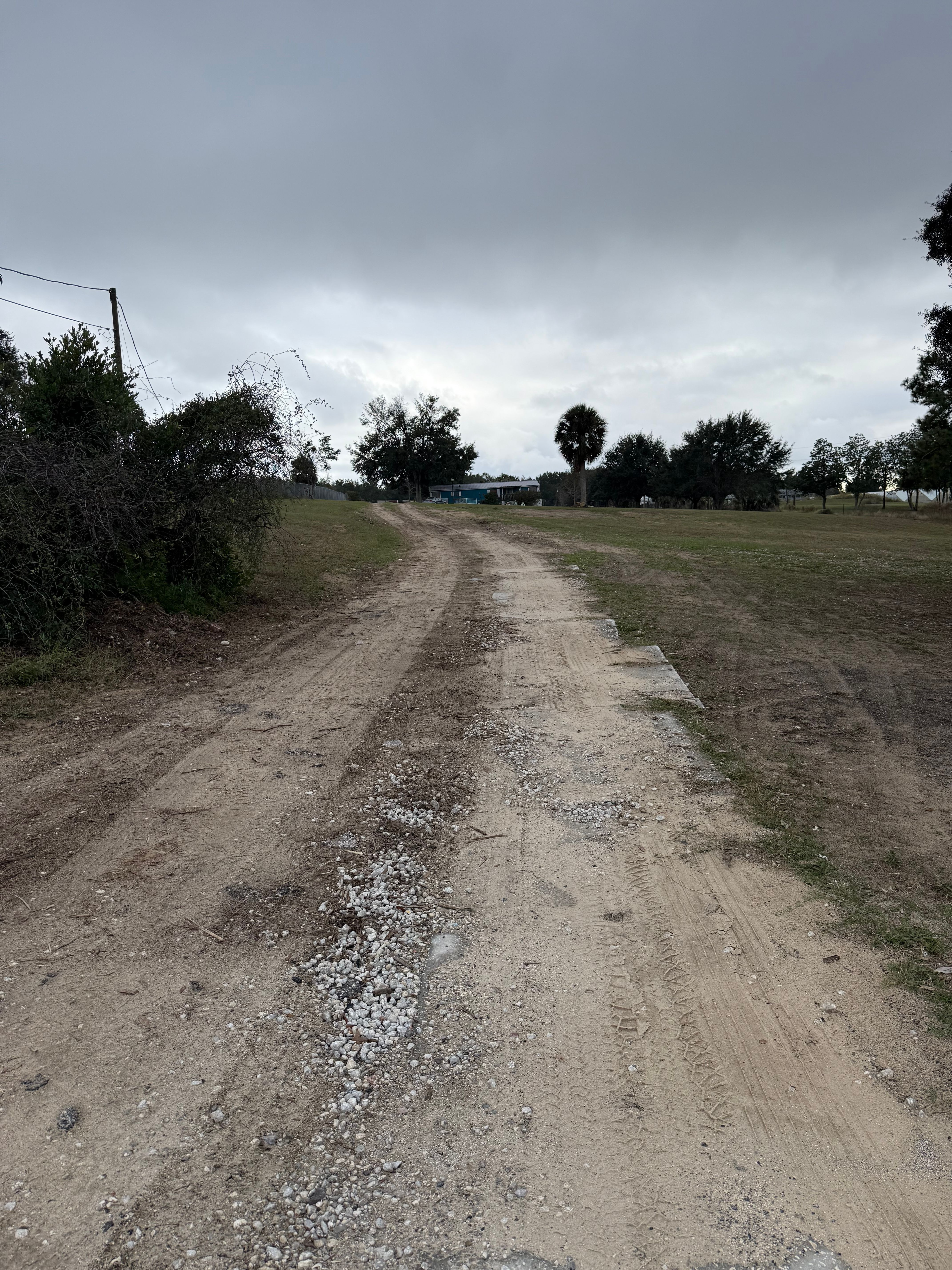  for Amerigrown Tree And Lawn in Apopka, FL