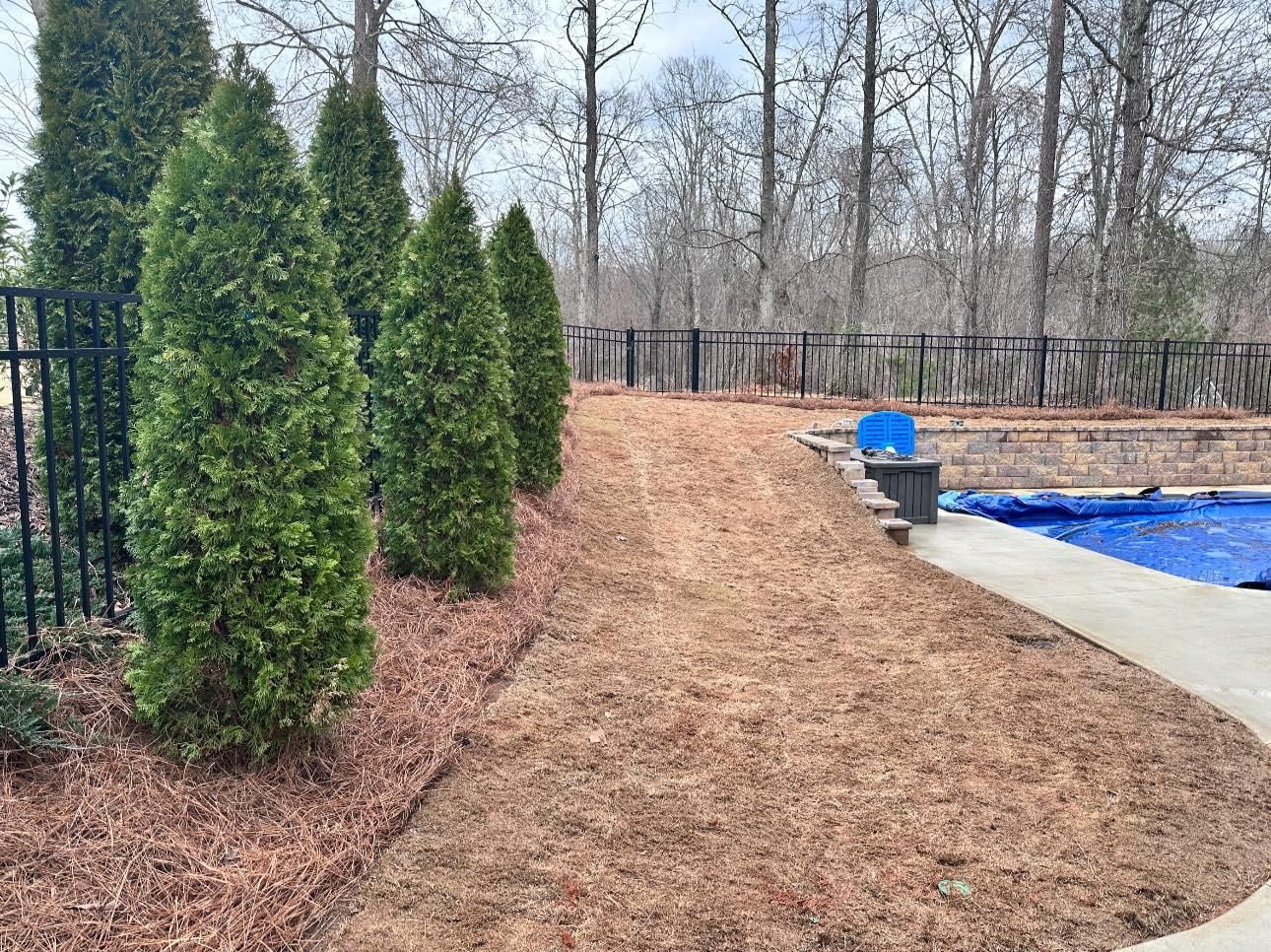 All Photos for Sexton Lawn Care in Jefferson, GA