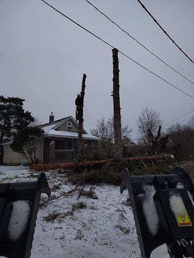  for Dan's Tree Service LLC in Bemidji, MN