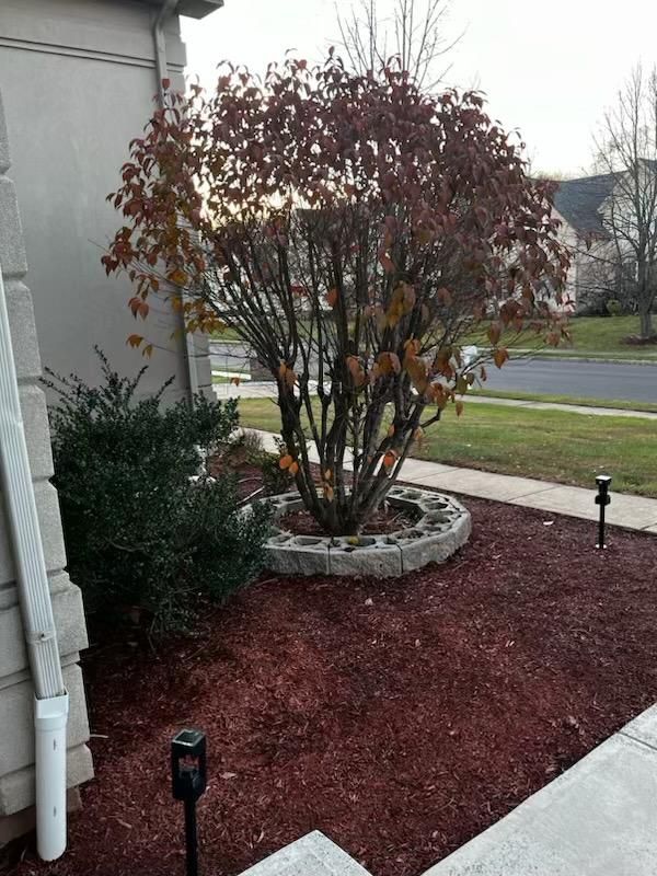  for Unique Outdoor Lighting in Short Hills, NJ