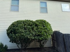  for Thin Green Line Landscaping & More in Laurens, SC