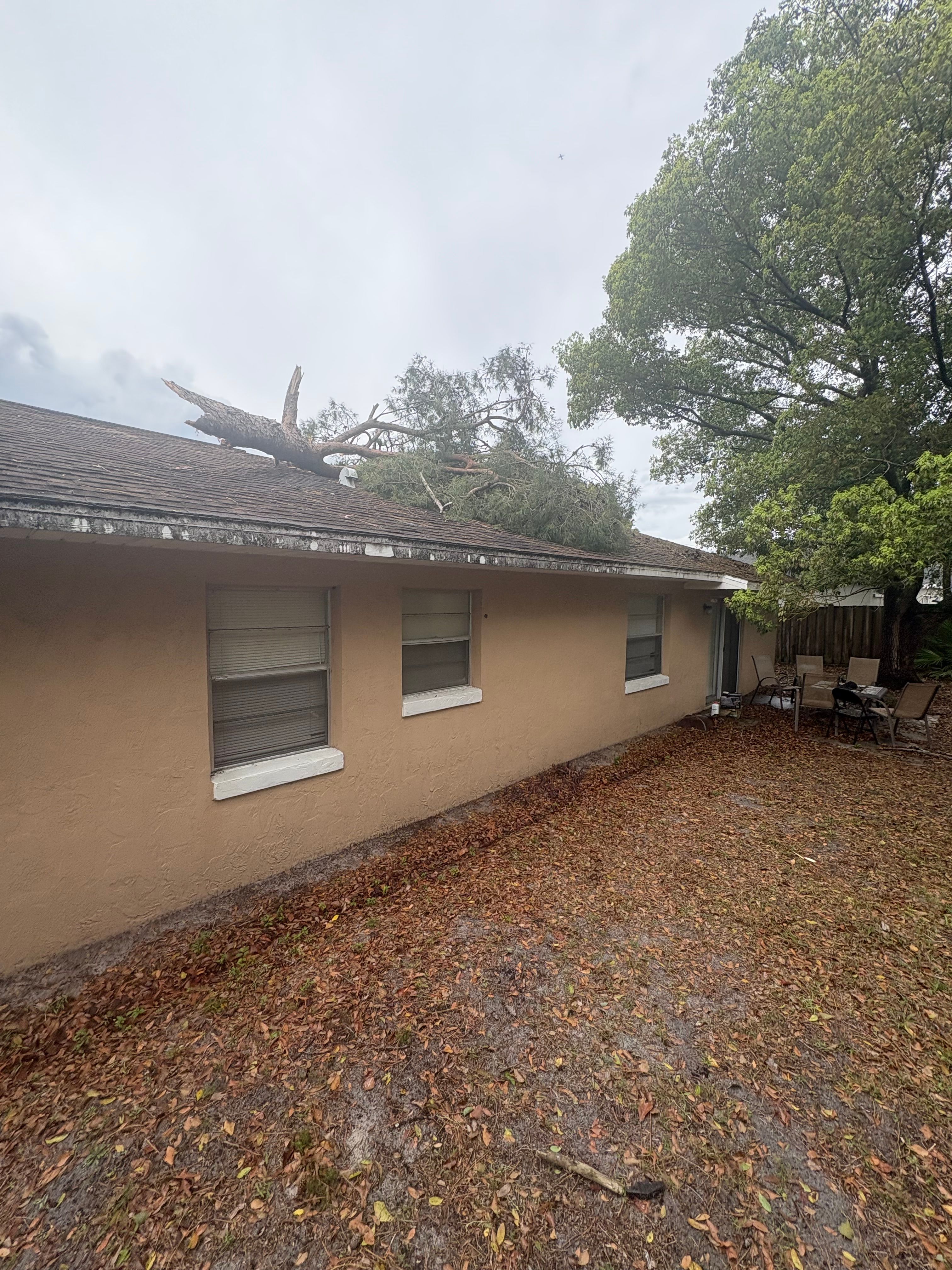  for Amerigrown Tree And Lawn in Apopka, FL