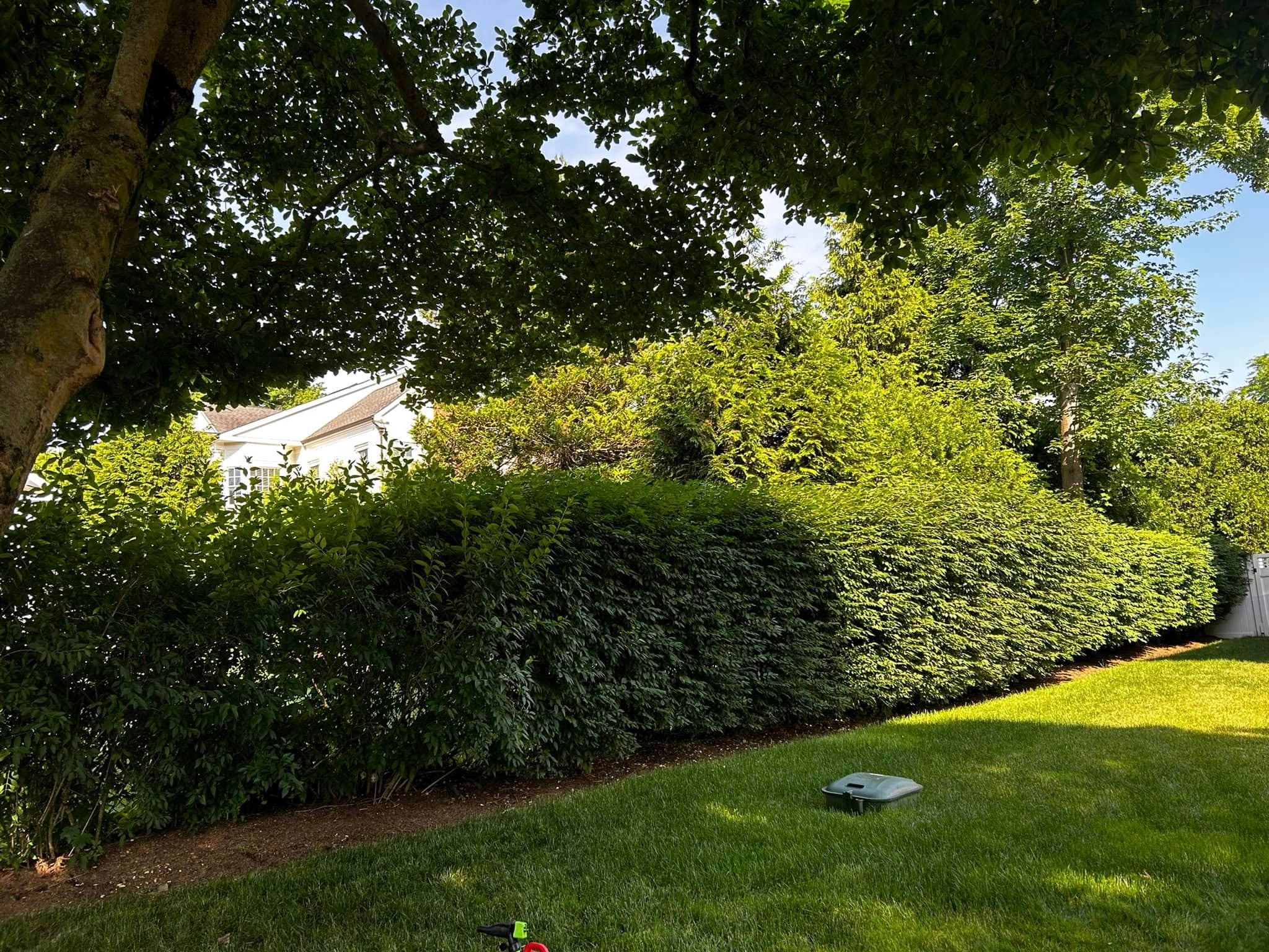  for Jose Gonzalez Landscaping in Stamford, CT