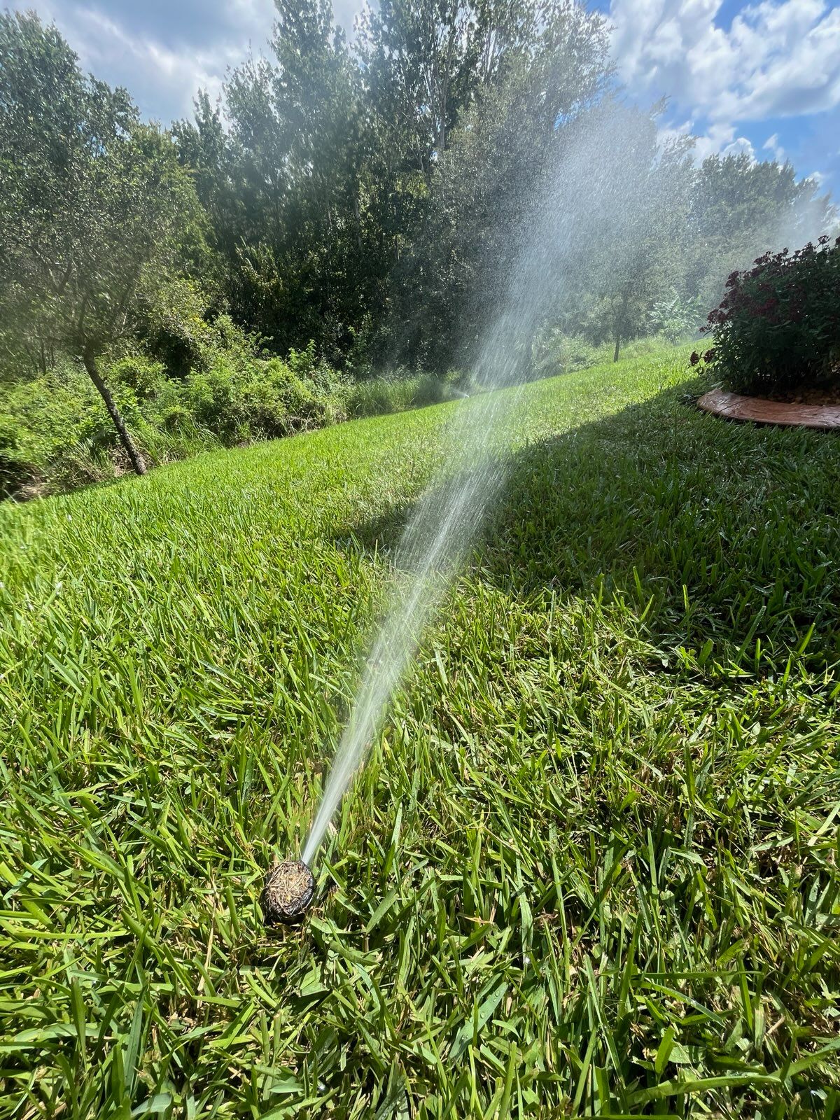 Tree Services for Ludlows Services in Clermont, FL