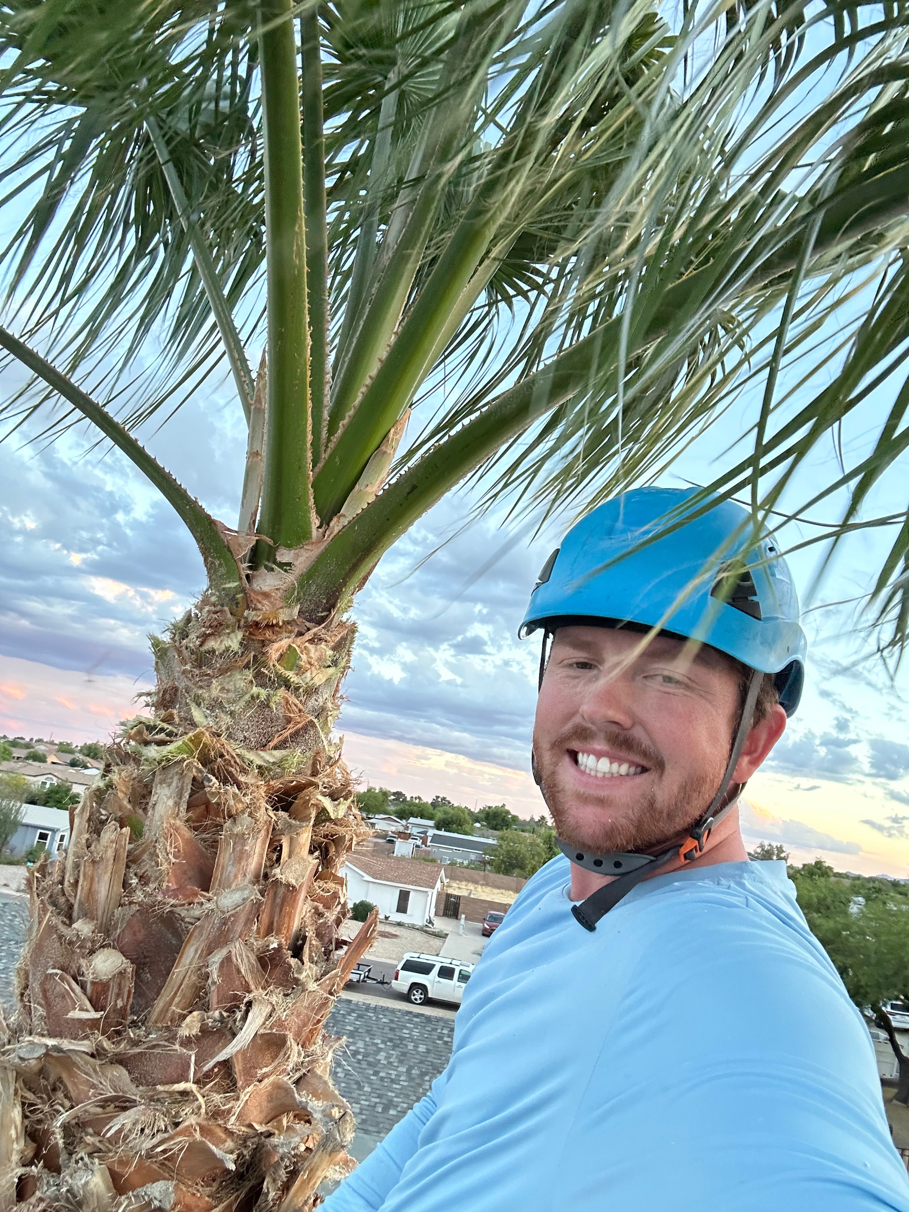  for Copperhead Solution in Phoenix, Arizona