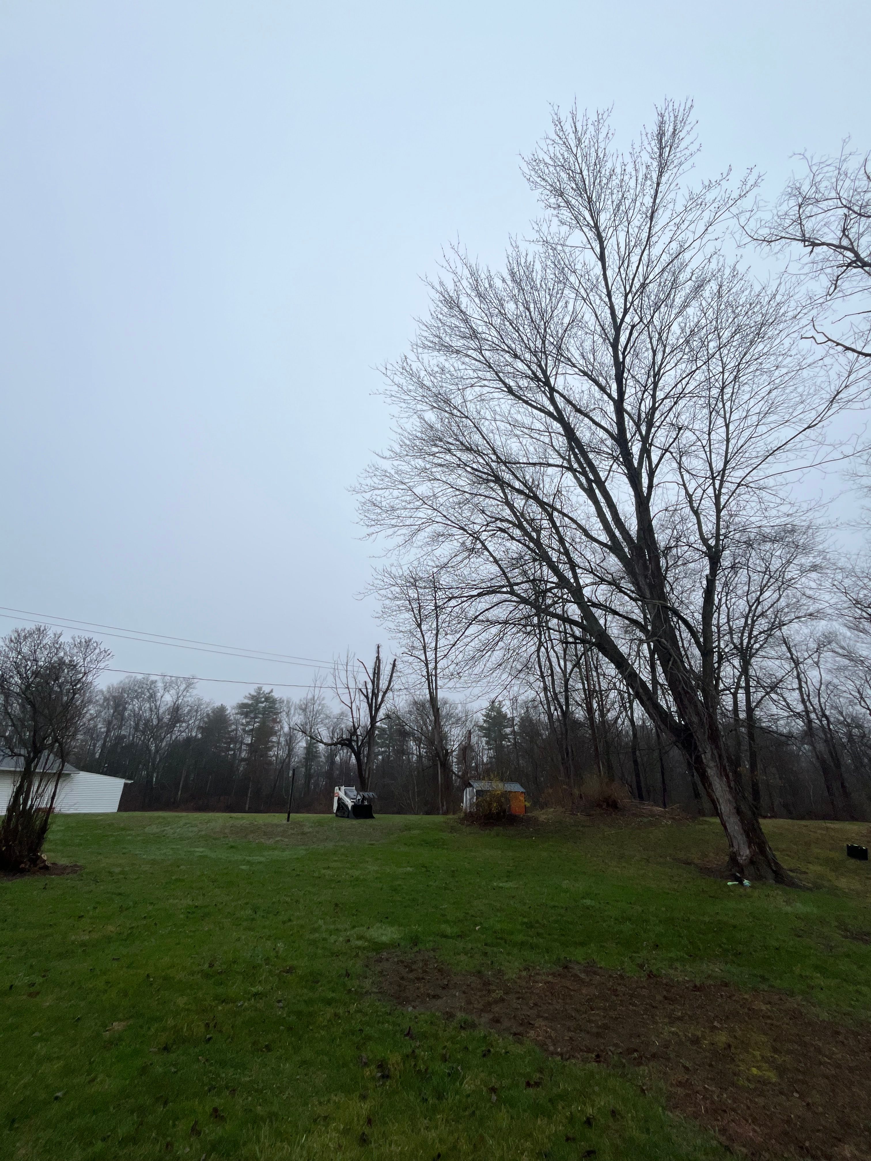 All Photos for Licensed to Cut Tree Service in Athens, PA