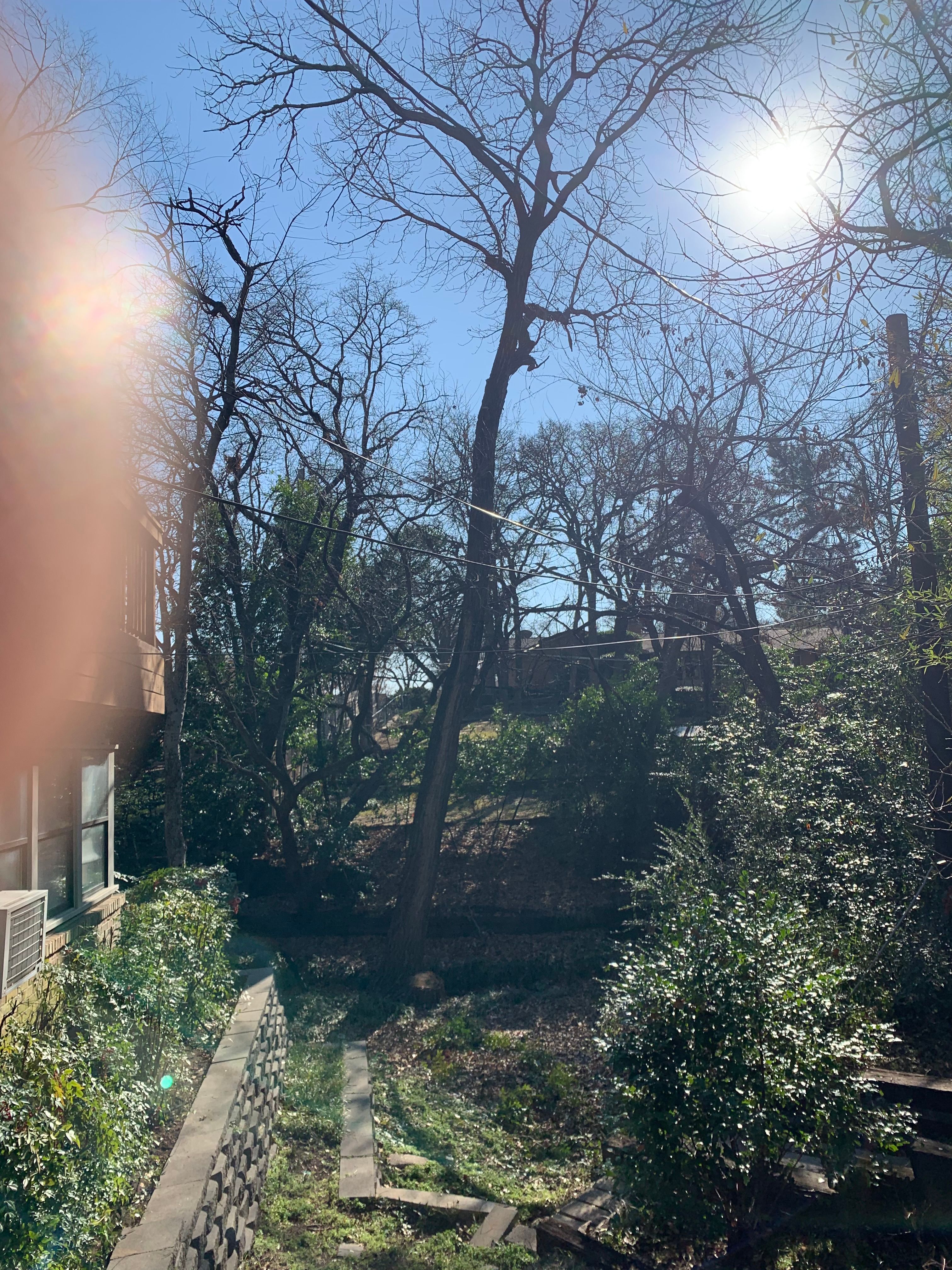  for TLC Professional Tree Service in Bedford, TX
