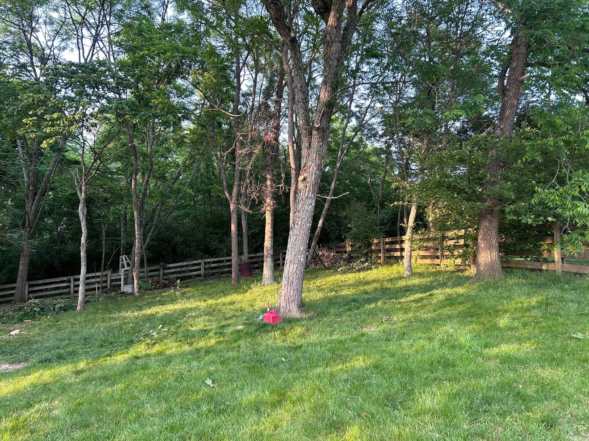  for Terra Steel Creations in Independence, KY