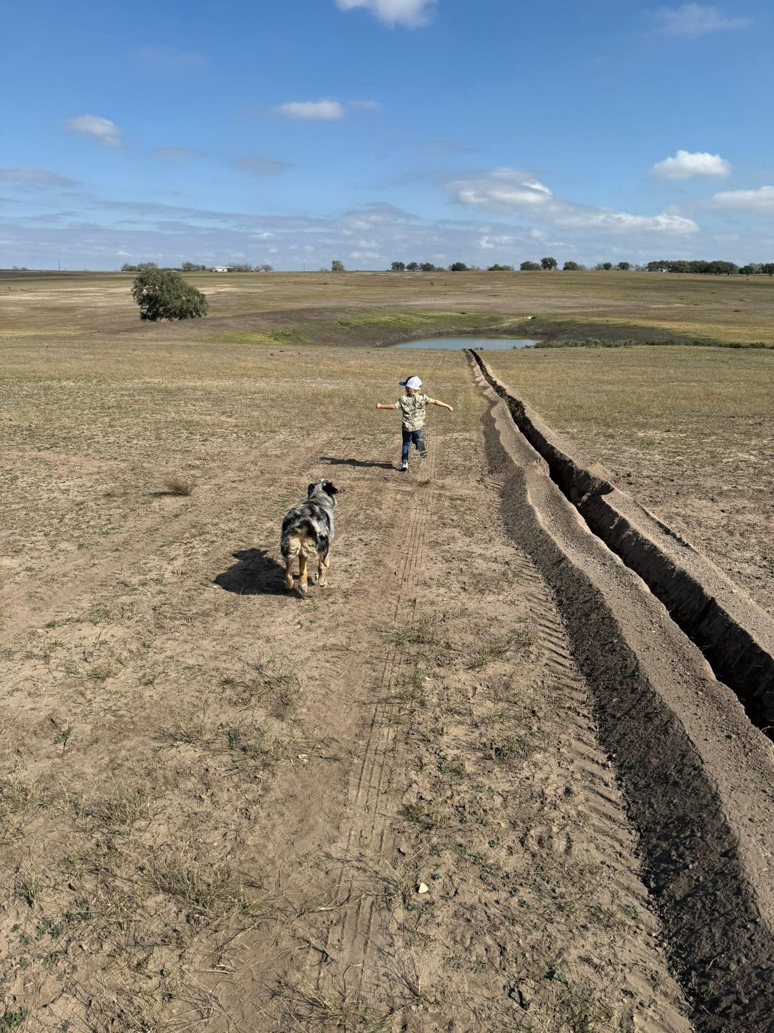  for Strause Land Improvement & Construction in George West, TX