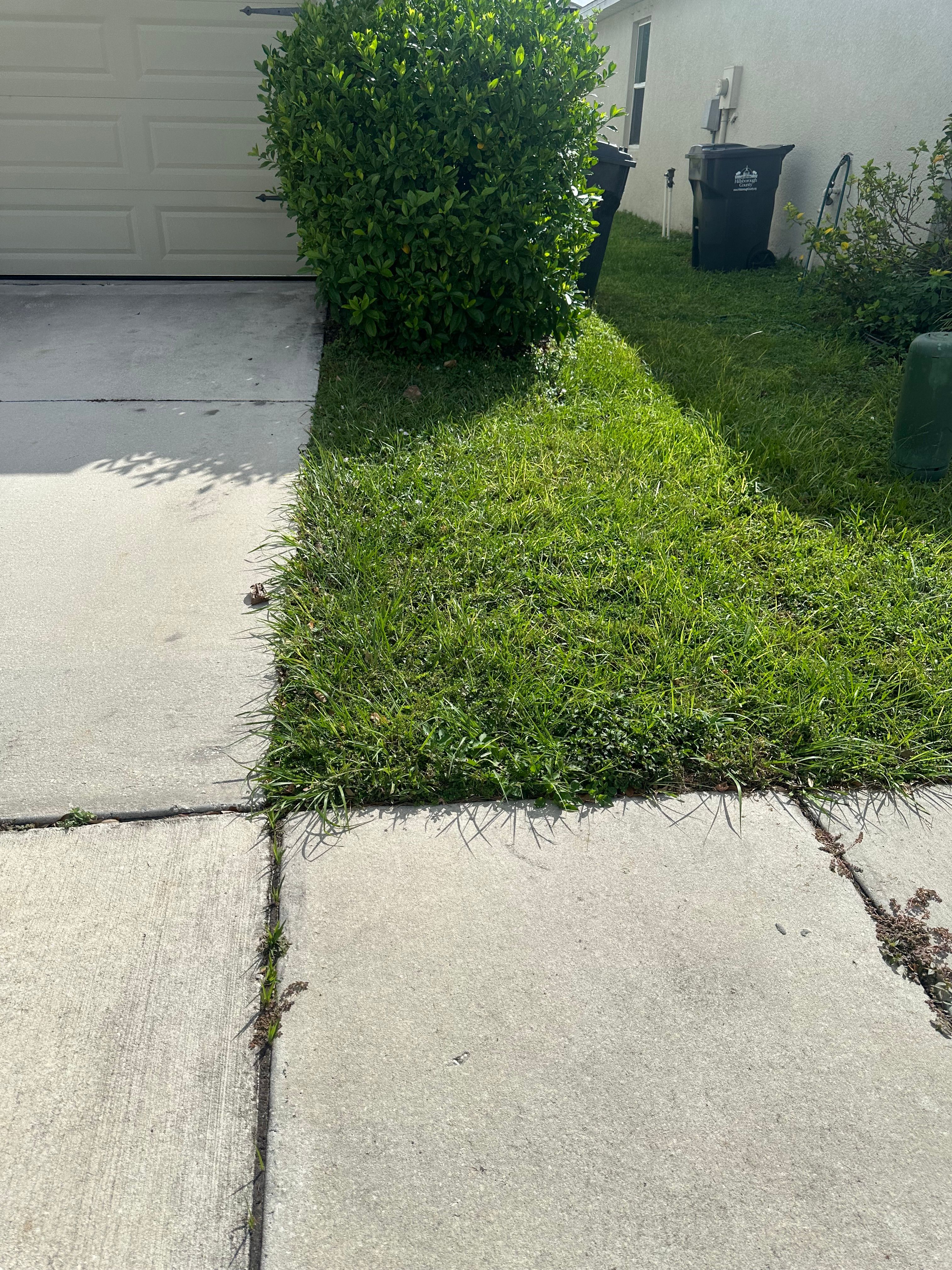  for The Yardman in Tampa, FL