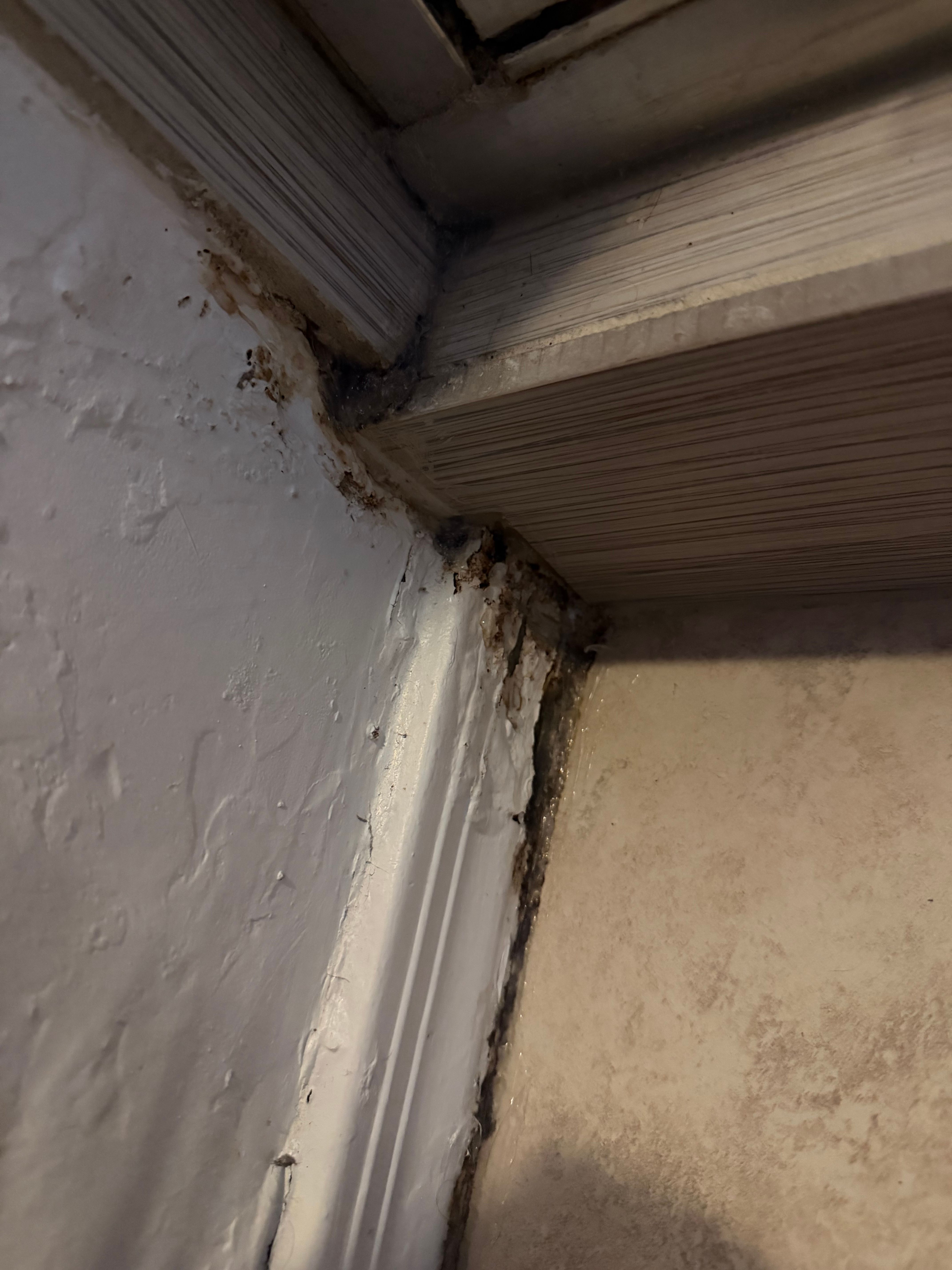  for MC Drywall Solutions in Queen Creek, AZ