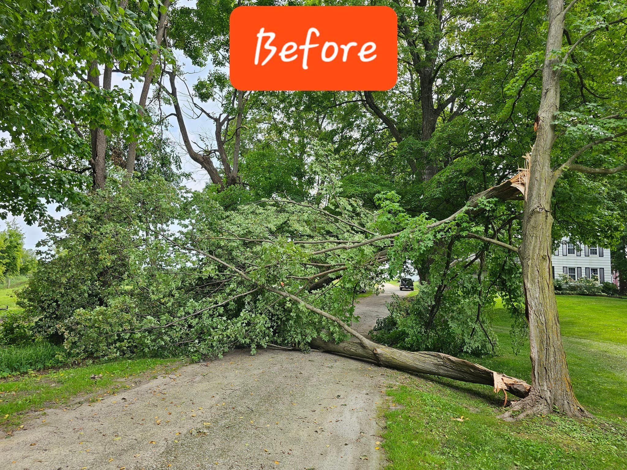  for D Hale Tree Service in Dexter, MI