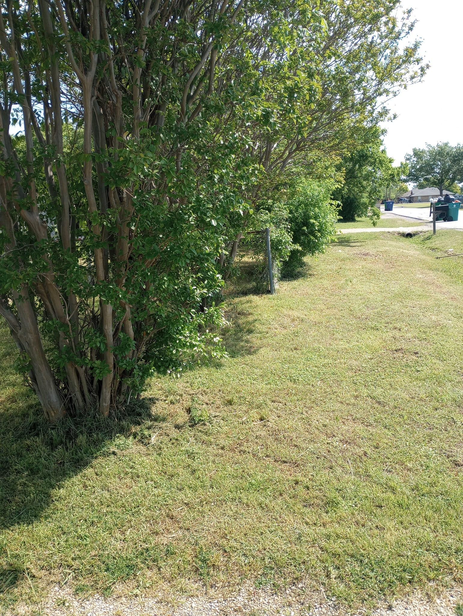 Mowing for Emergency Yard Care LLC in Waxahachie, TX