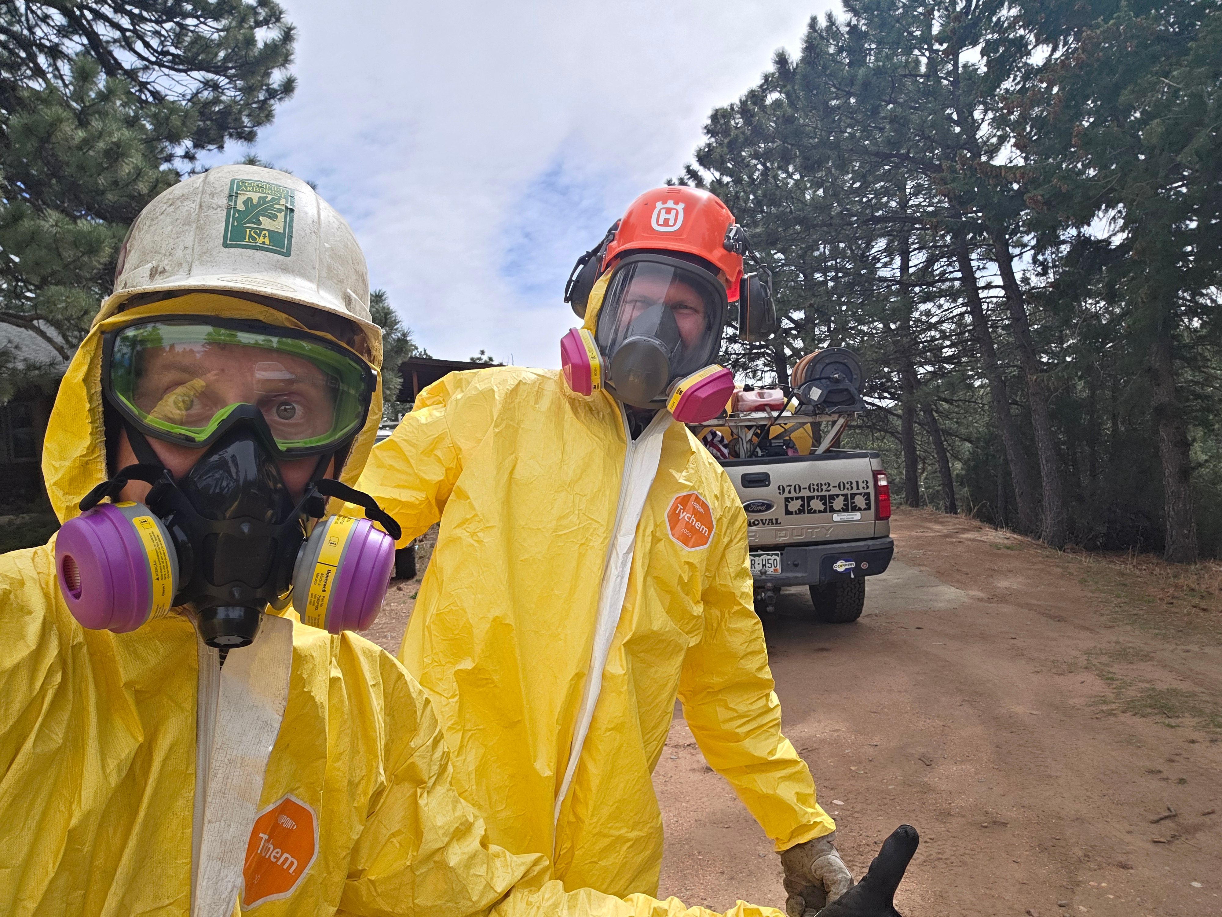 All Photos for Beetle Busters LLC in Centennial, CO