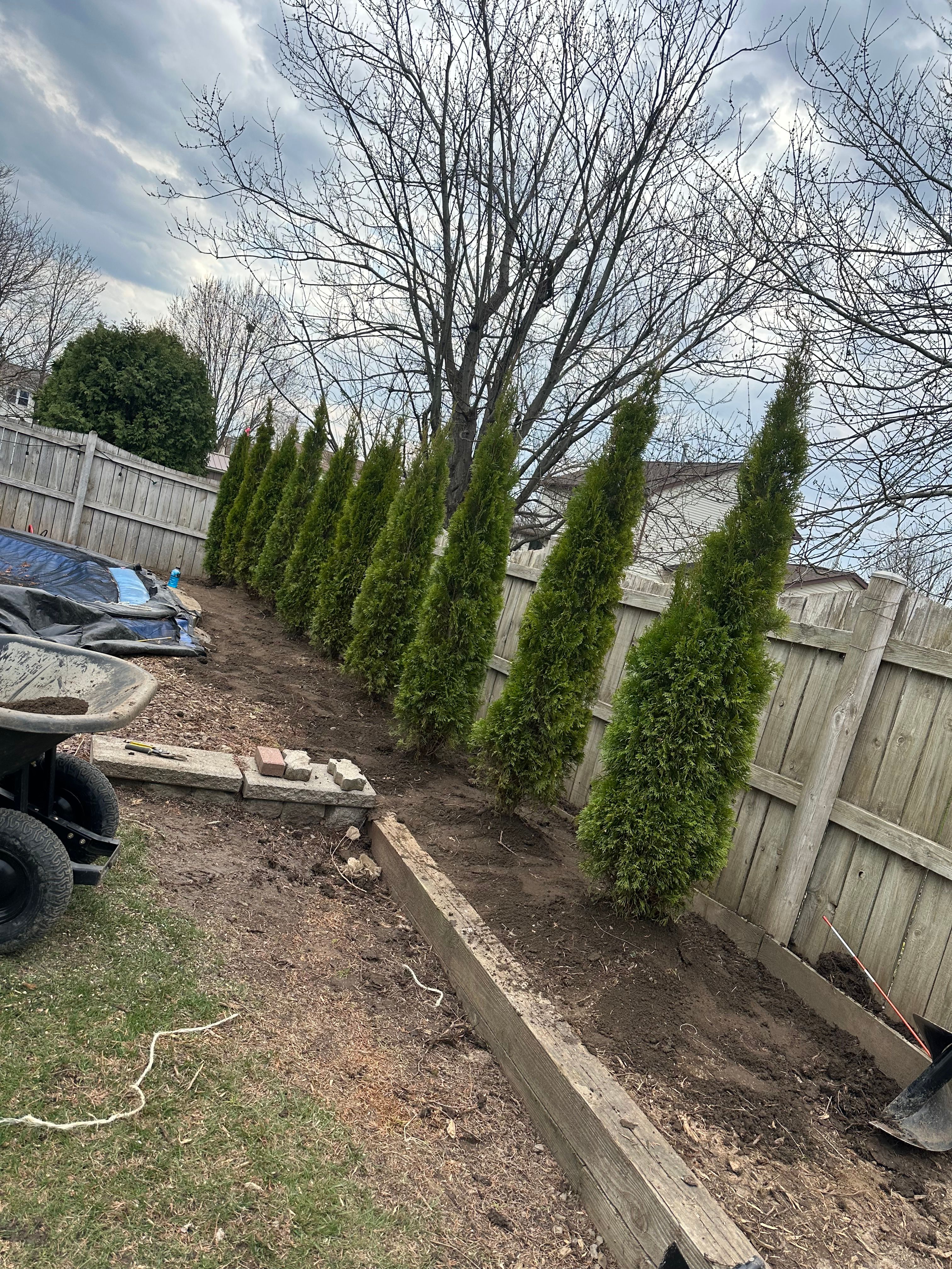  for Hauser's Complete Care INC in Lancaster, NY