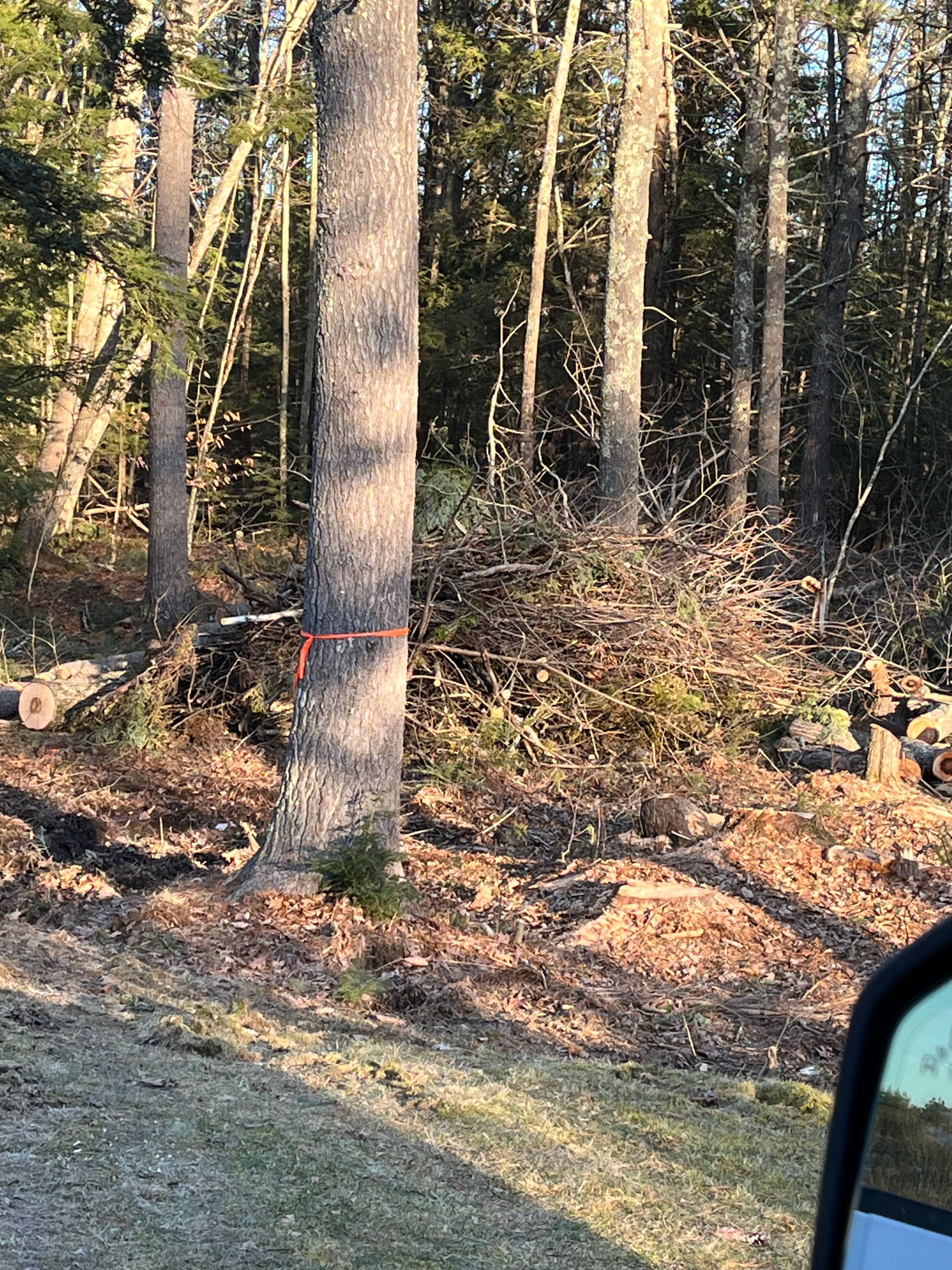 All Photos for Next Level Construction and Cleaning in Saco, ME