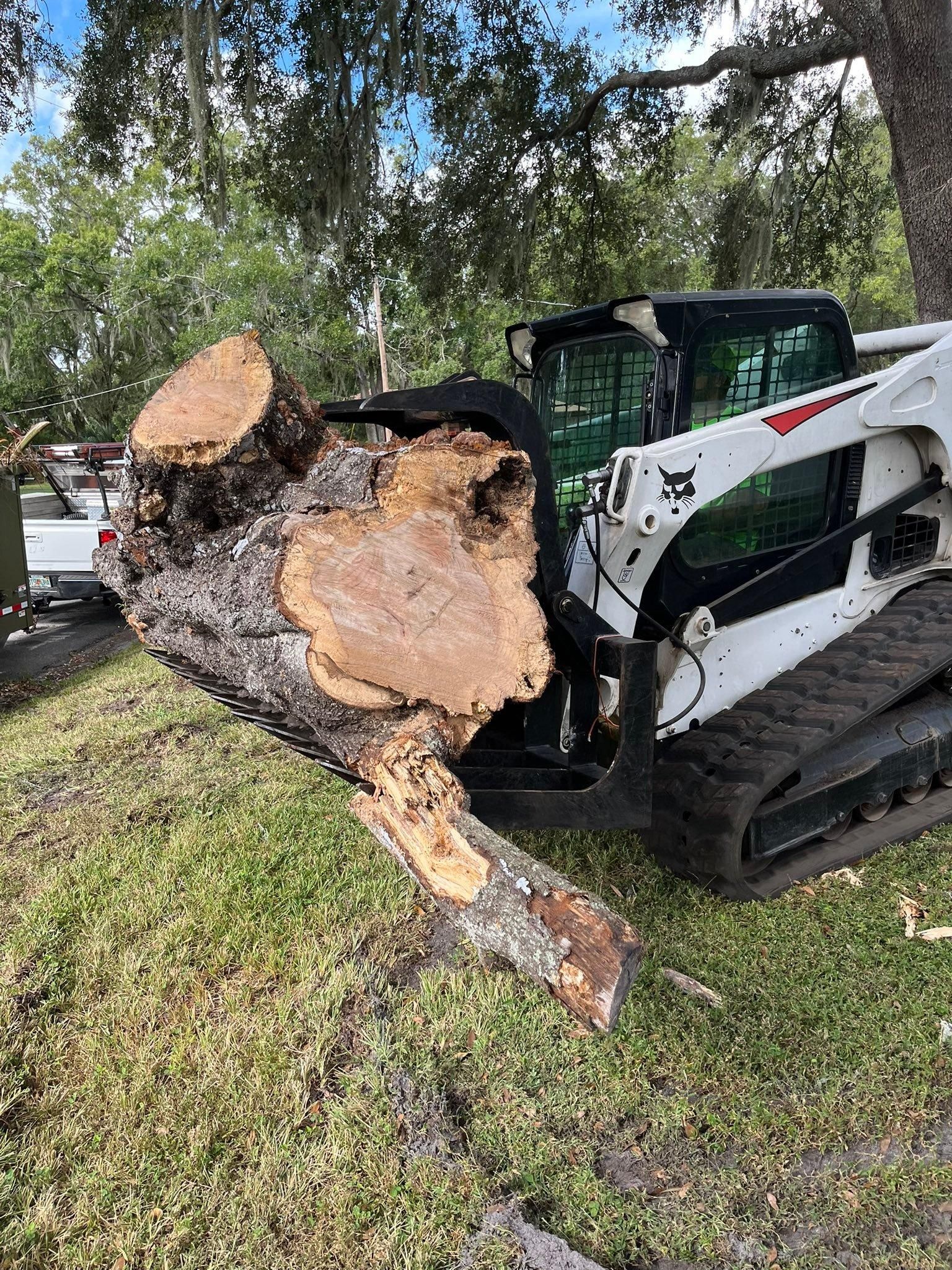  for Bills Tree Service in Valrico, FL