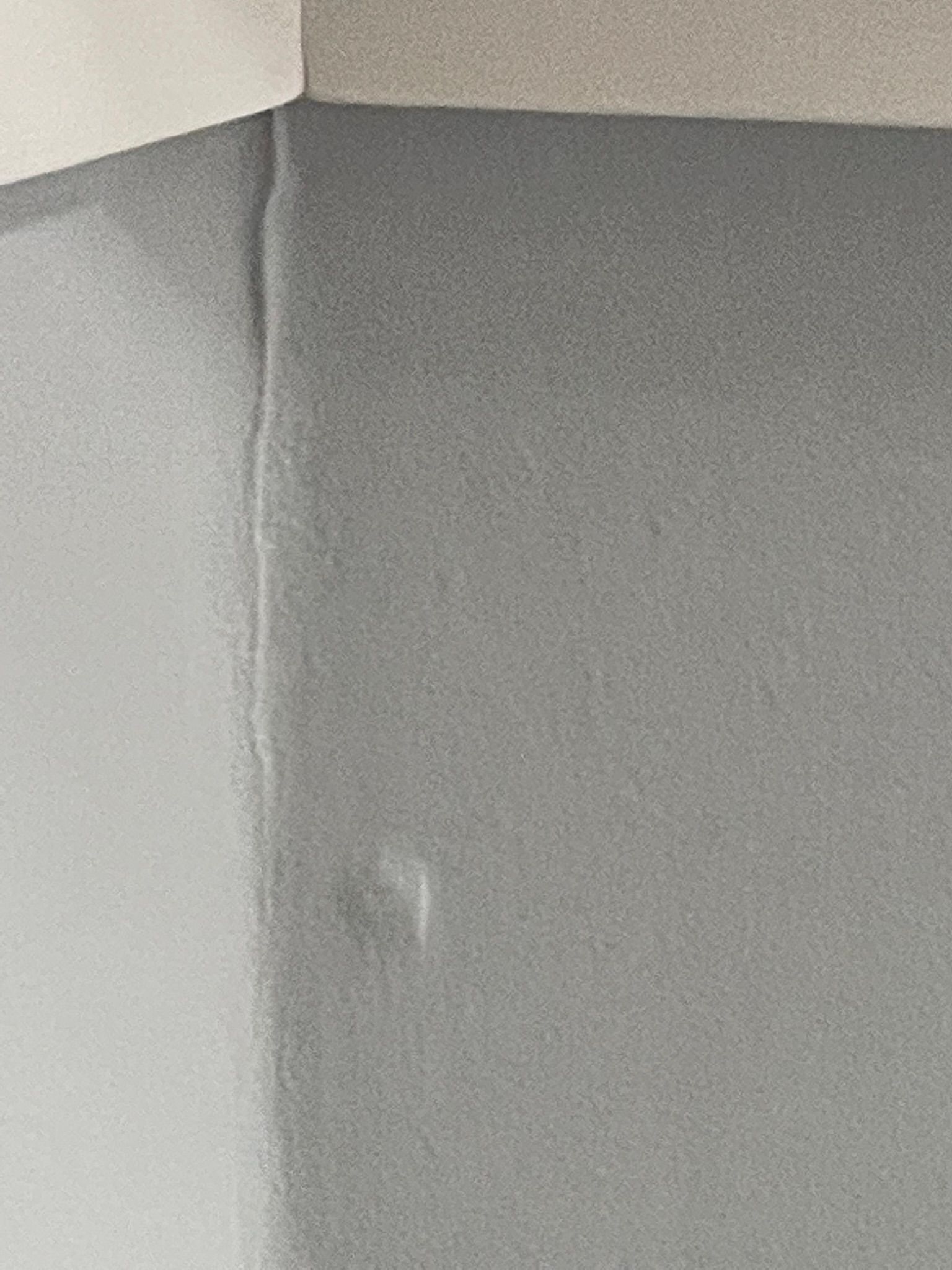  for Tony's Remodeling & Painting in Renton, WA