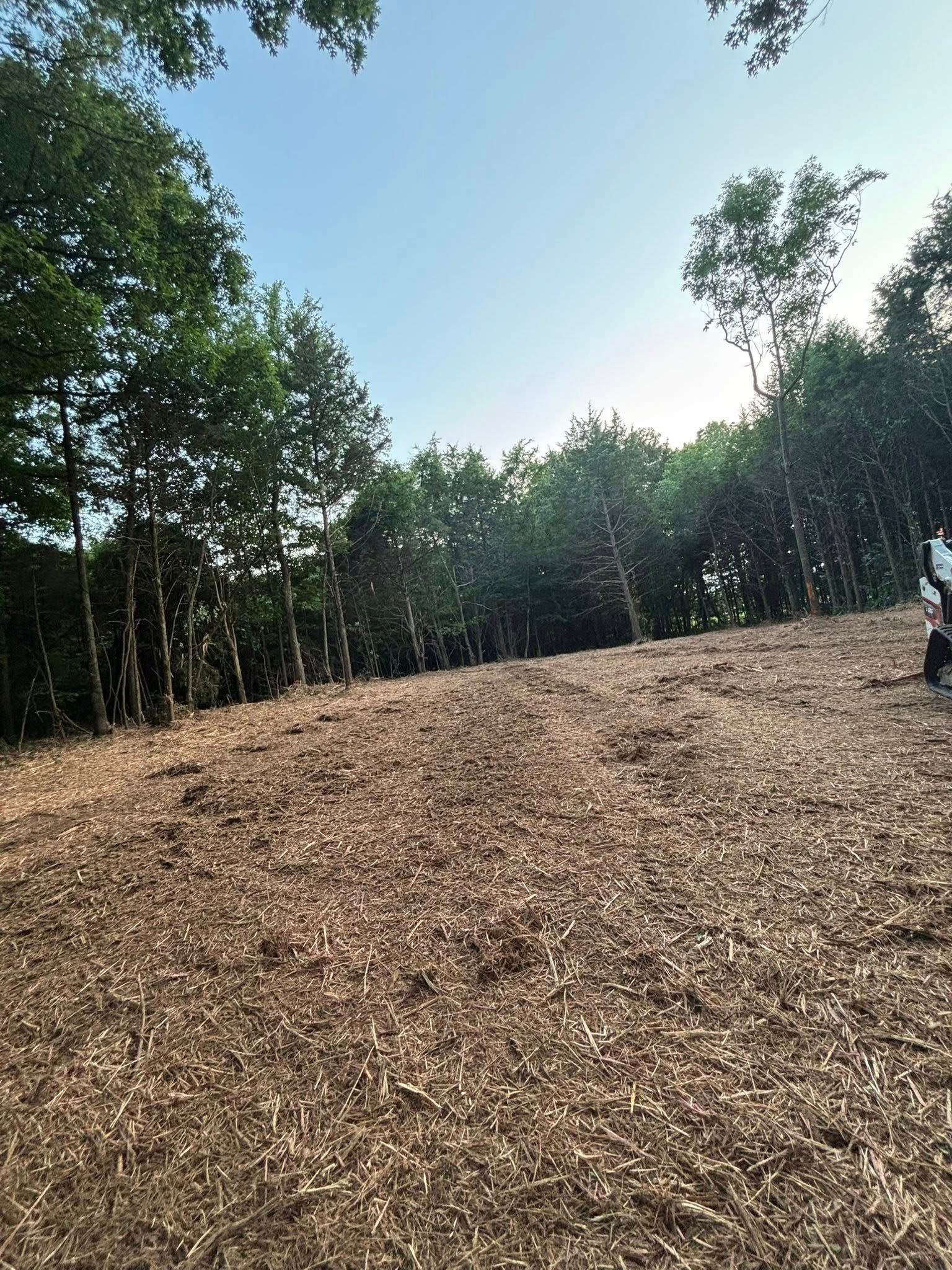  for JC Land Clearing in Shelbyville, TN