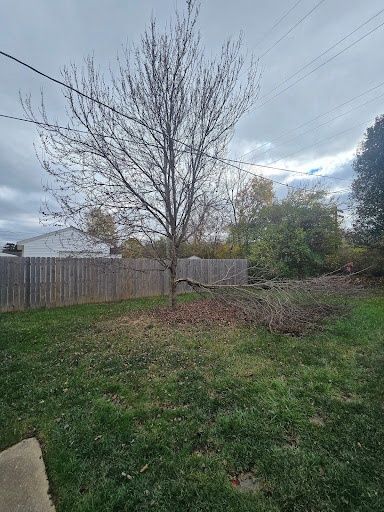 All Photos for Tingley's Green Land Services in Springfield, Ohio