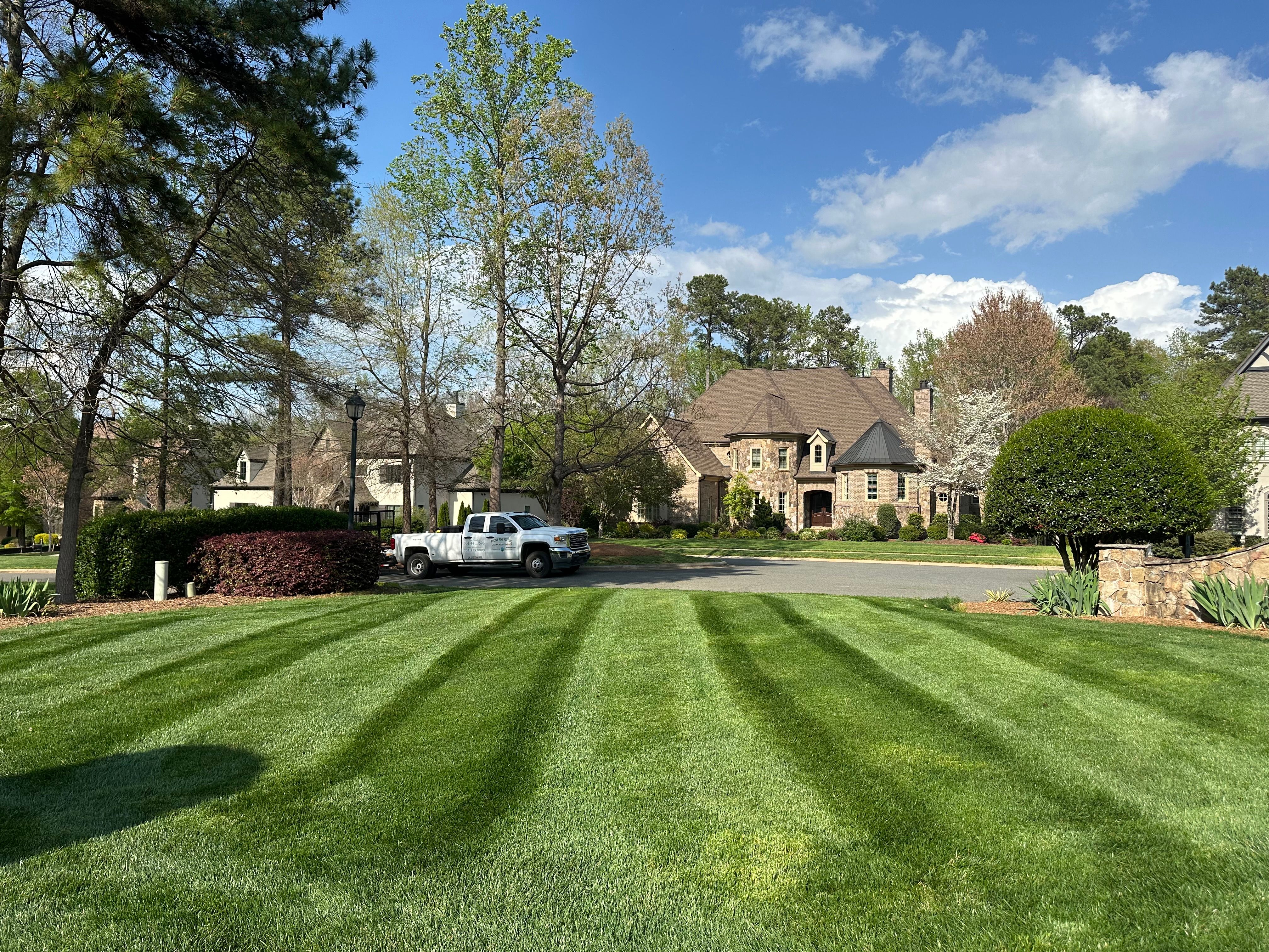  for Pecina Pine Needles in Monroe, NC