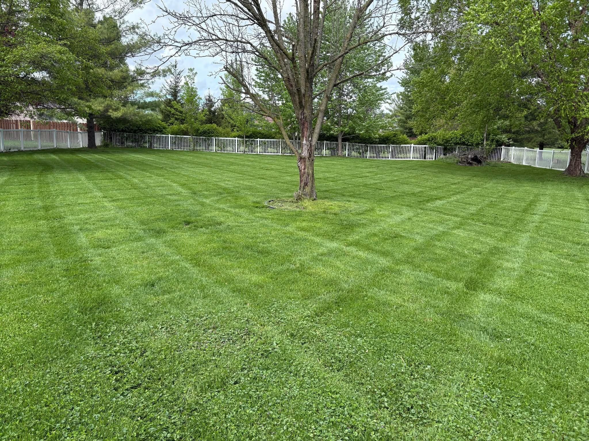  for Bearforce Lawn Care LLC in Greenfield, IN