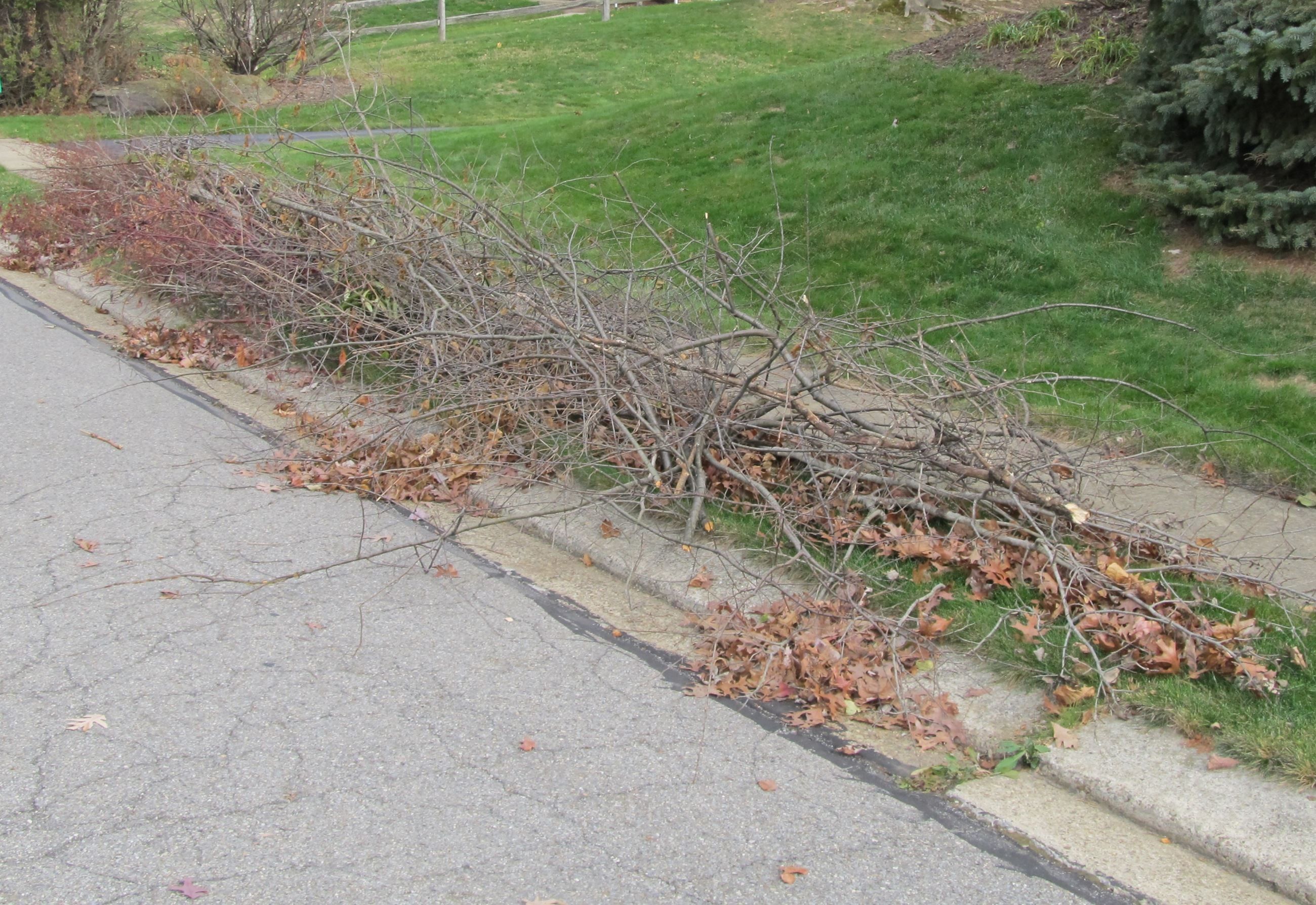  for Thrashers Utilities Services in Sultan, WA