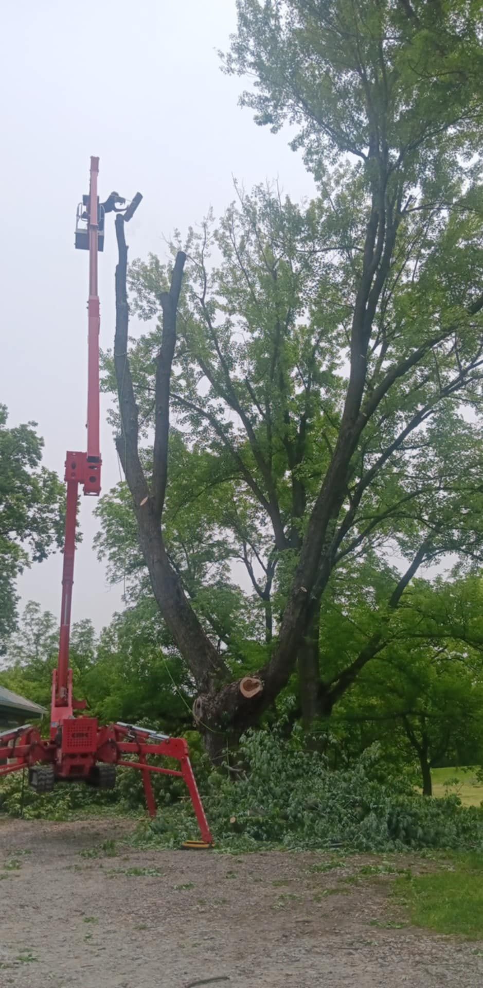  for Lawn Ranger Yard And Tree Service LLC in Ottumwa, IA