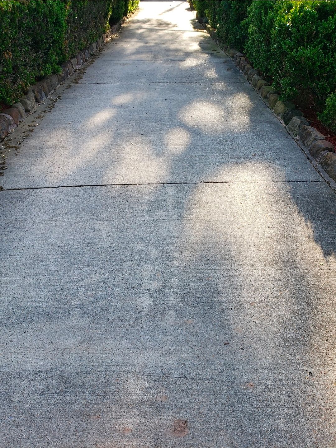  for Connected Exterior Cleaning in Dallas, TX