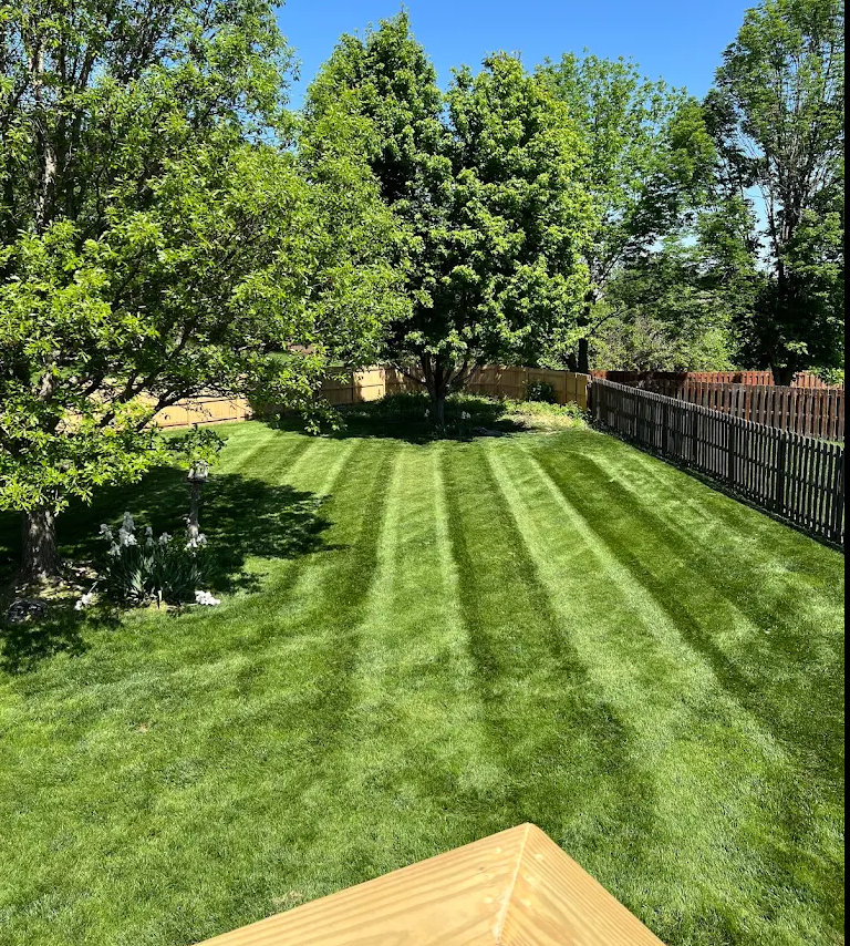 All Photos for Chief Lawn Care in Lee's Summit, MO