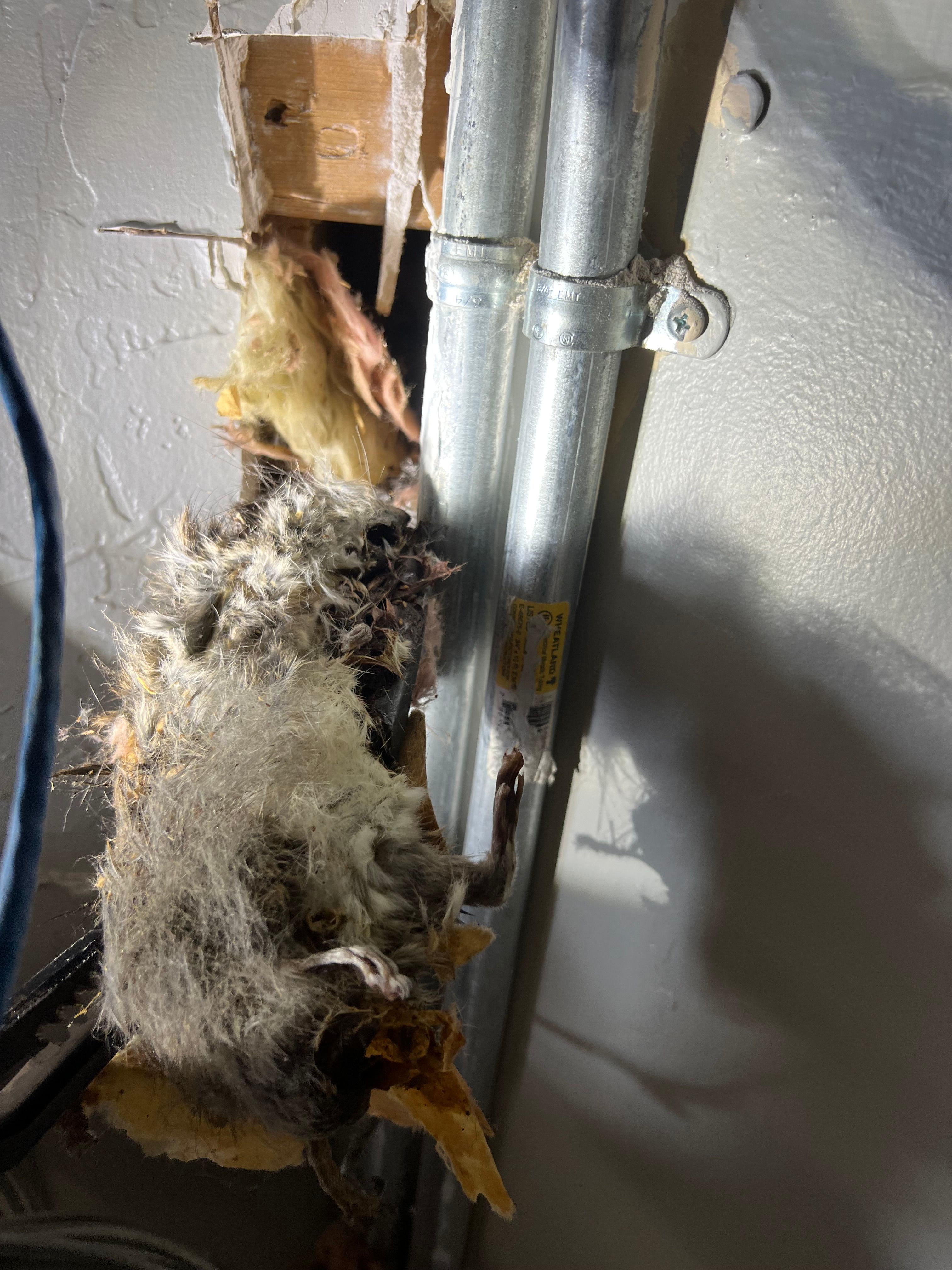  for N&D Restoration Services When Disaster Strikes, We Come In in Cape Coral,  FL