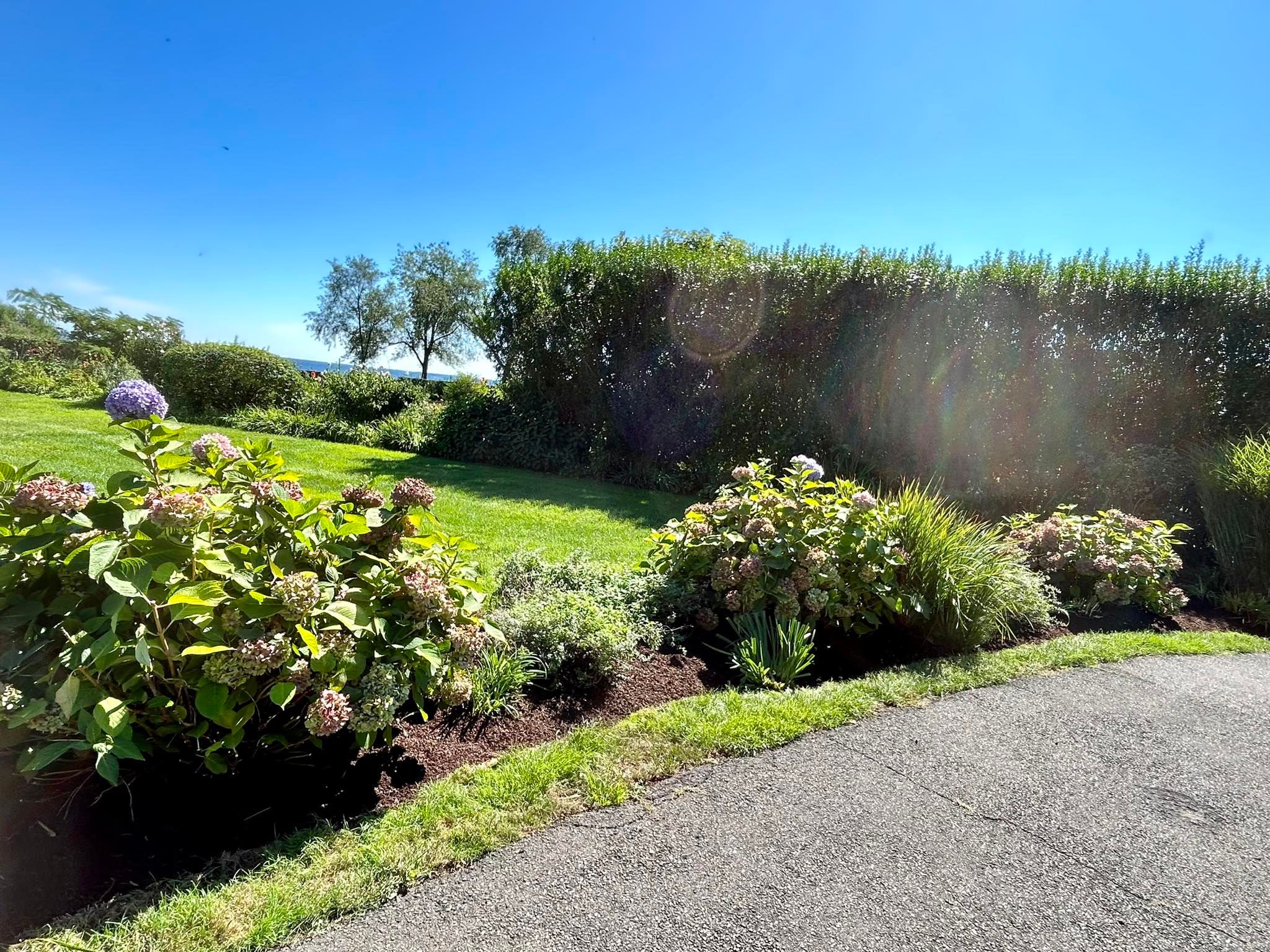  for Jose Gonzalez Landscaping in Stamford, CT