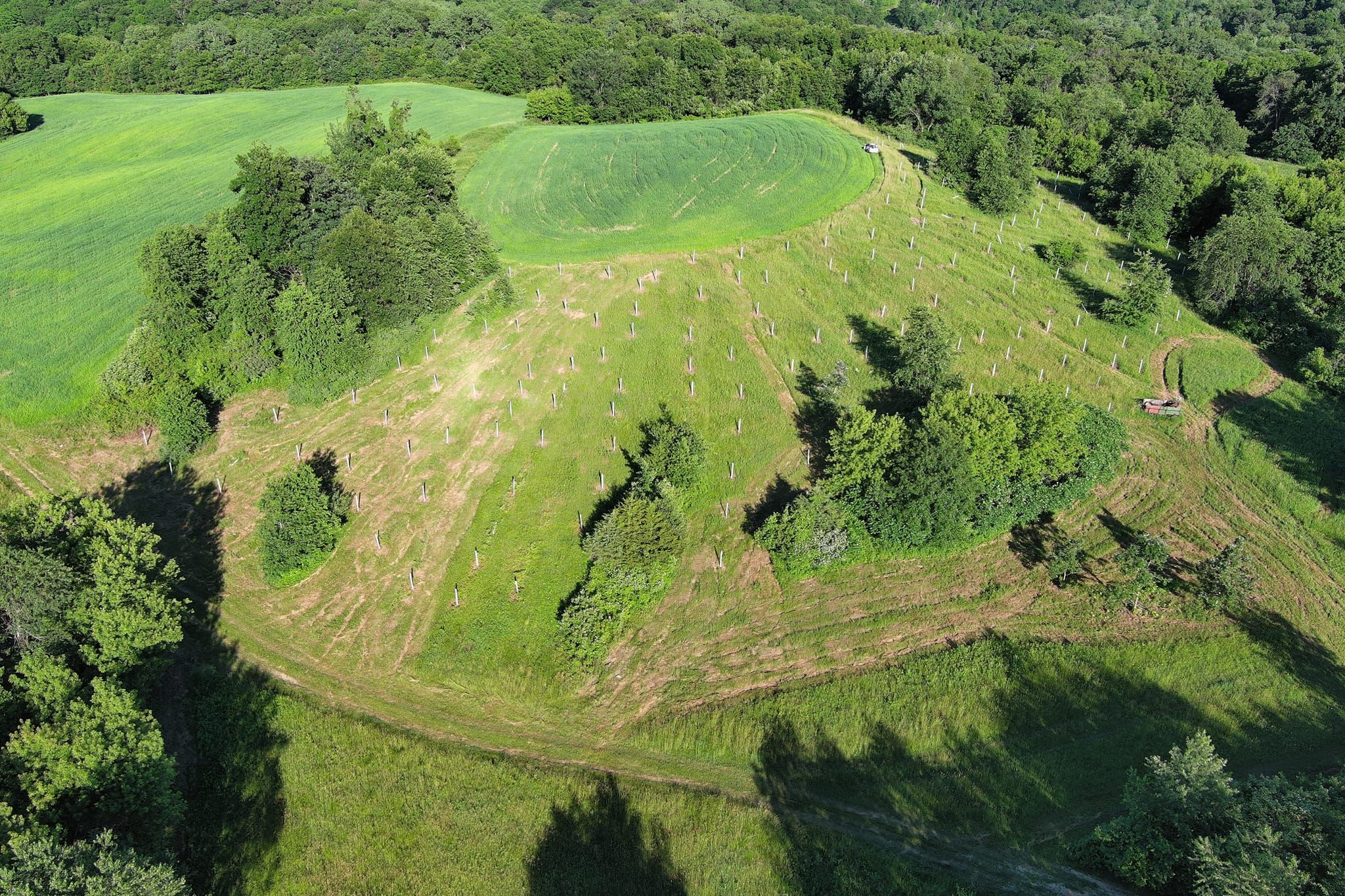  for Bluffside Forestry in Cedar Rapids, IA