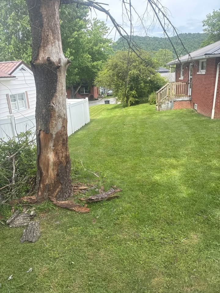  for Skys The Limit Tree Management in Morehead, KY