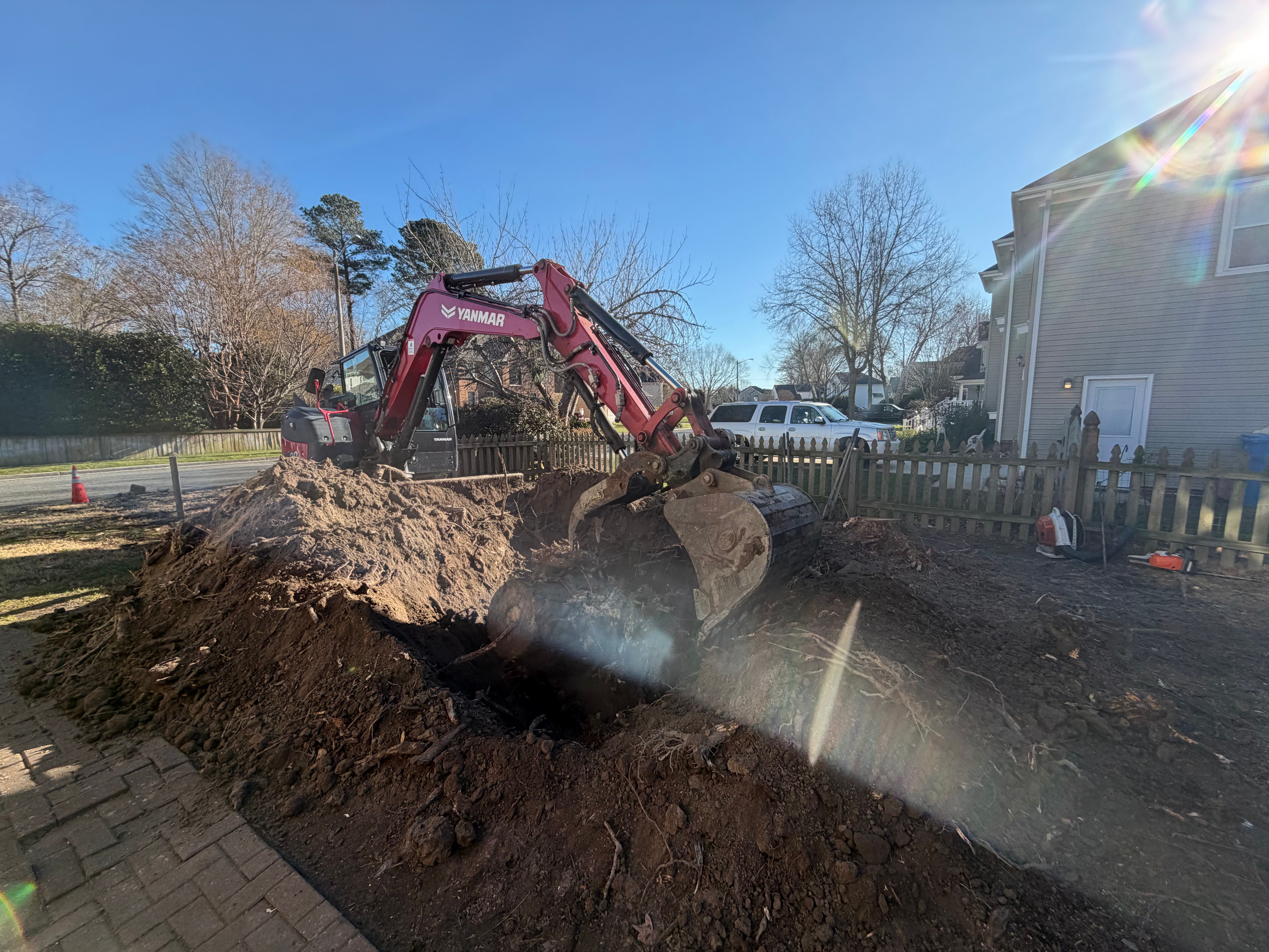  for Tidewater Tree Service in Chesapeake, VA