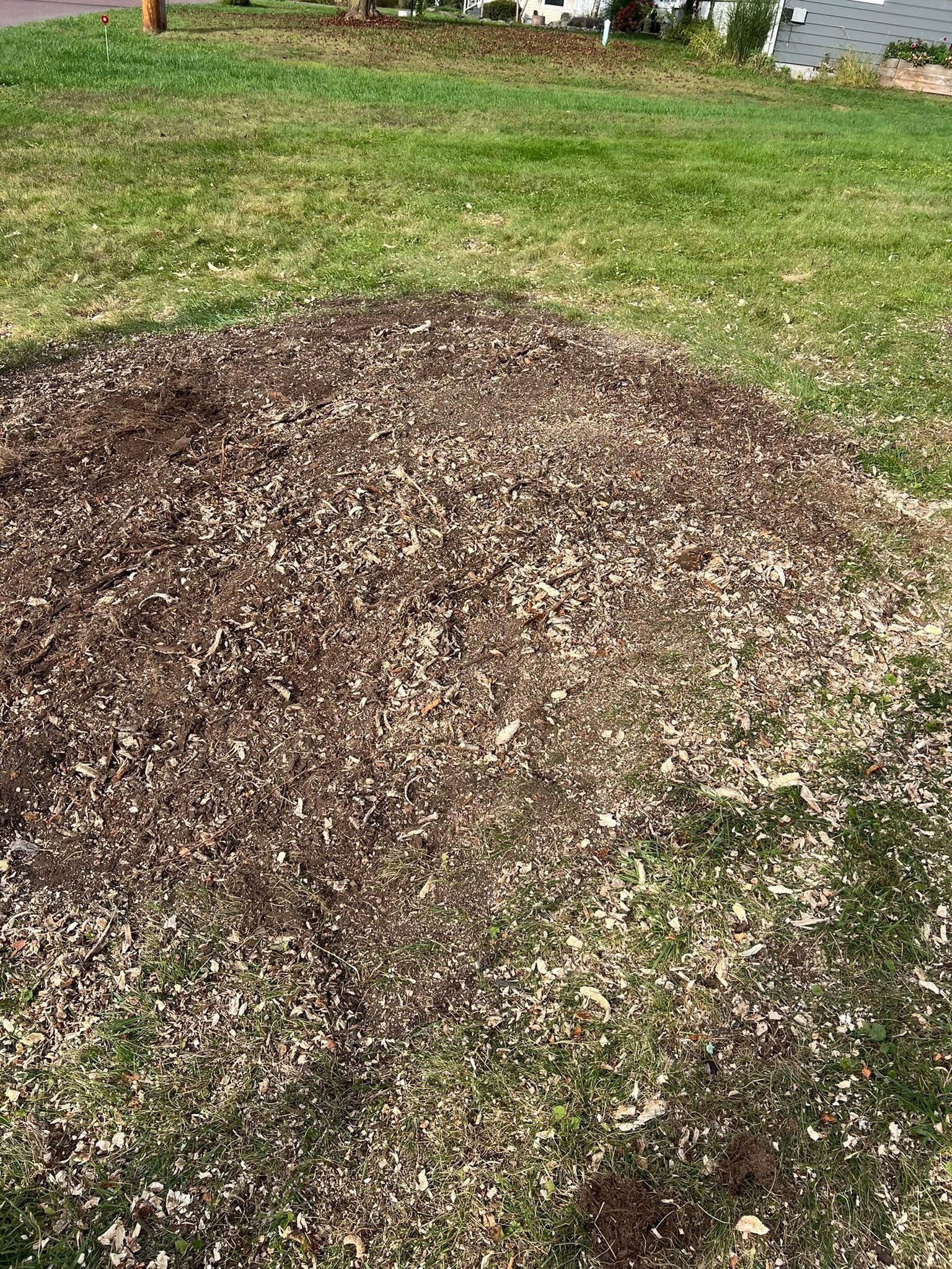  for Lopez Landscaping and Hardscapes in Scranton, PA