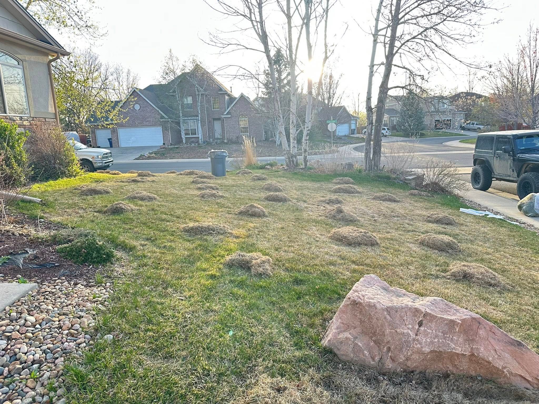 All Photos for Manscaped Lawn Care in Firestone, CO