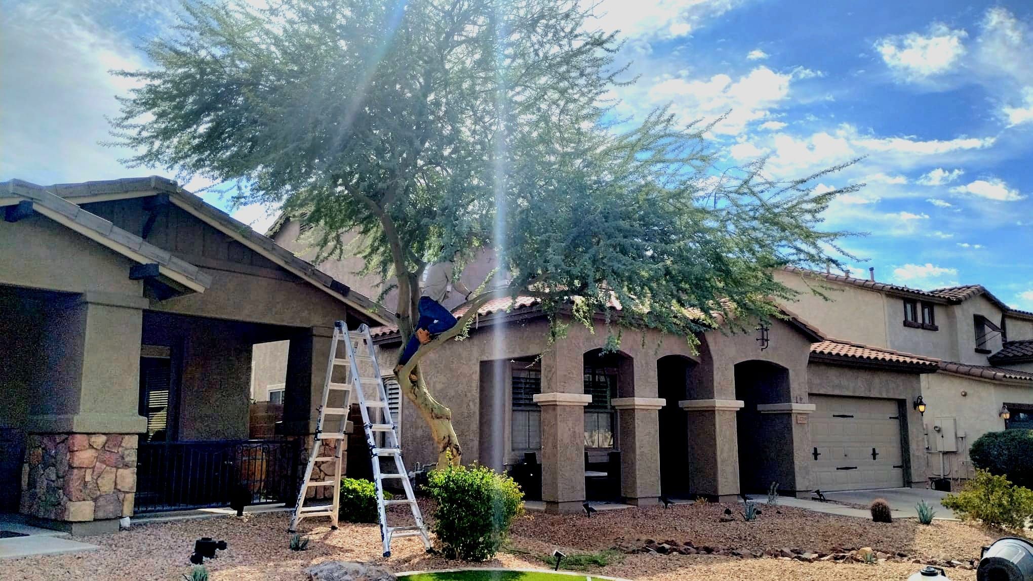  for Camacho AZ Landscaping LLC in Peoria, AZ