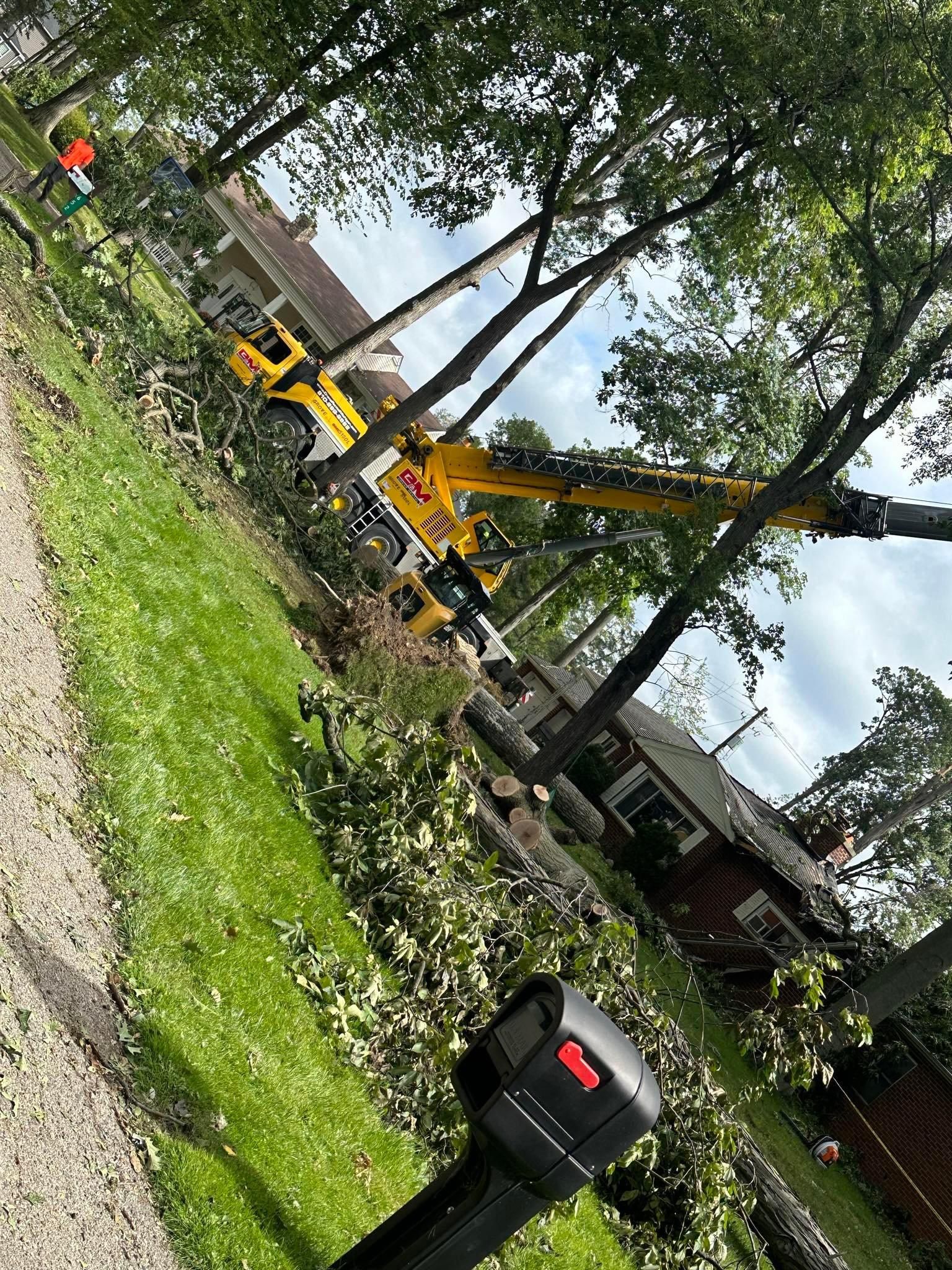 All Photos for DGD Outdoor Services LLC in Howell, MI