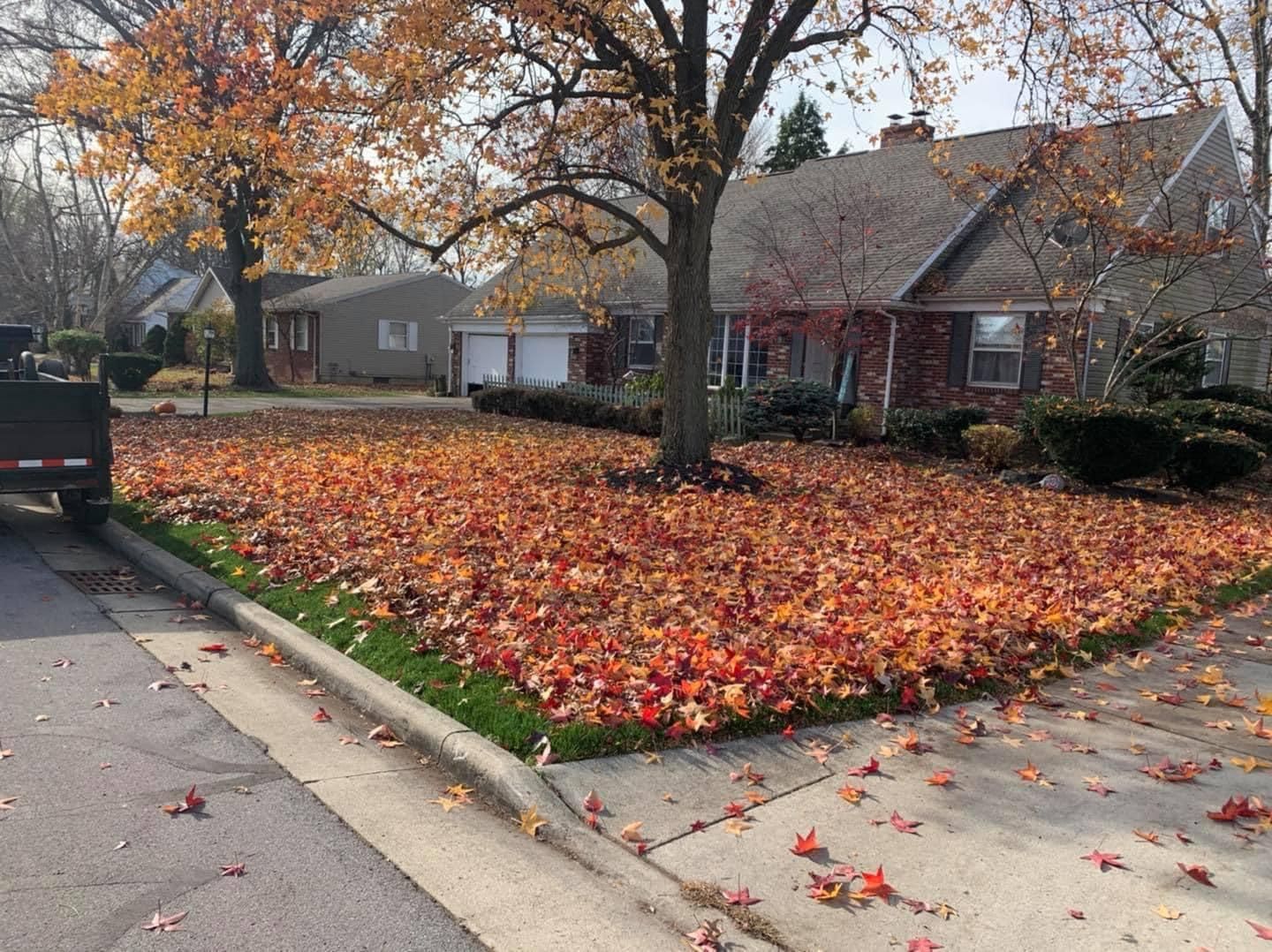  for Turf Rehab in Sandusky, OH