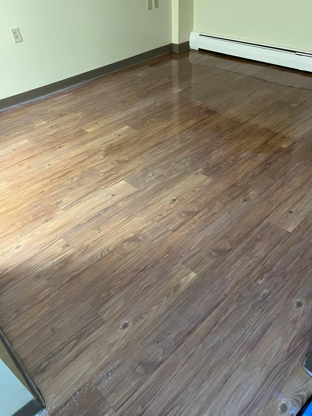  for The Domestic Goddess in Wisconsin Rapids, WI