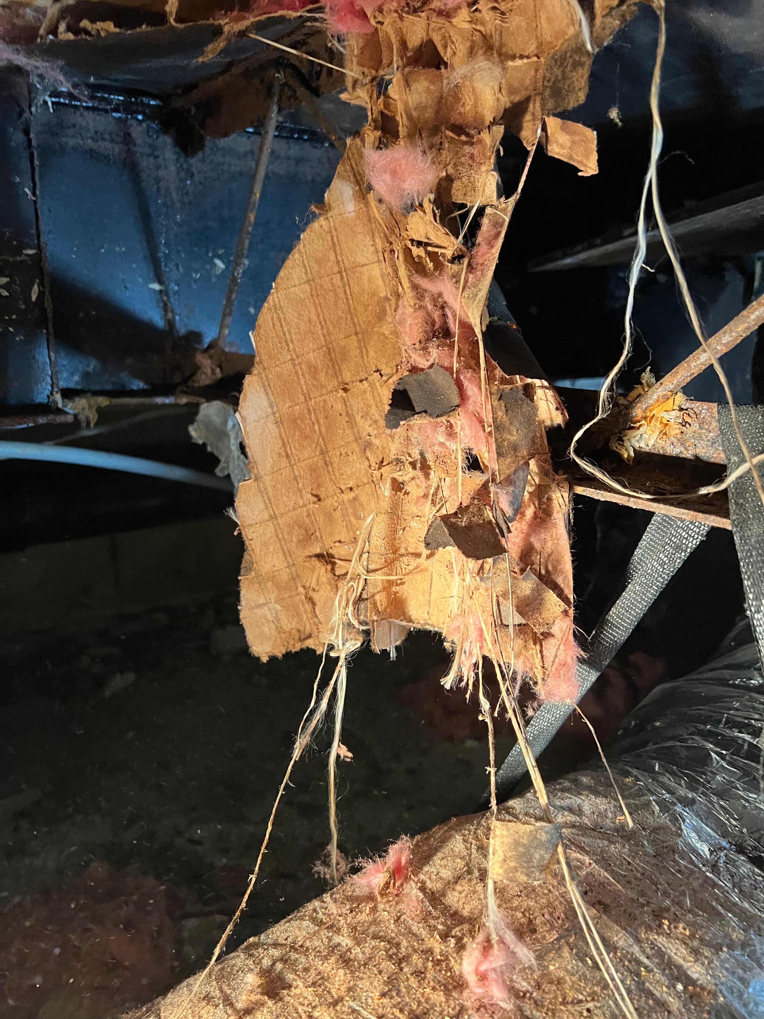  for N&D Restoration Services When Disaster Strikes, We Come In in Cape Coral,  FL