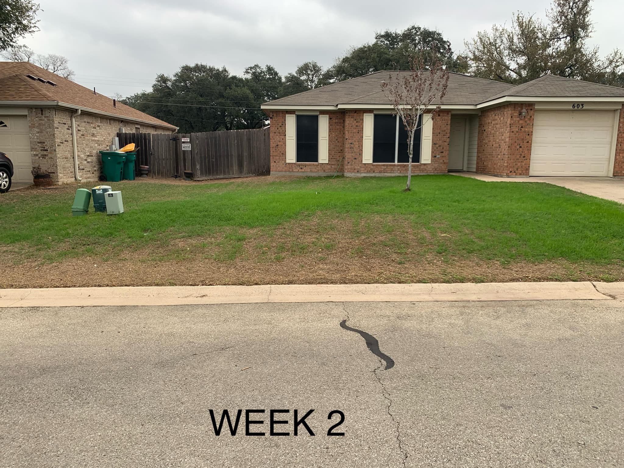  for Scalpel Lawn Service in Temple, TX