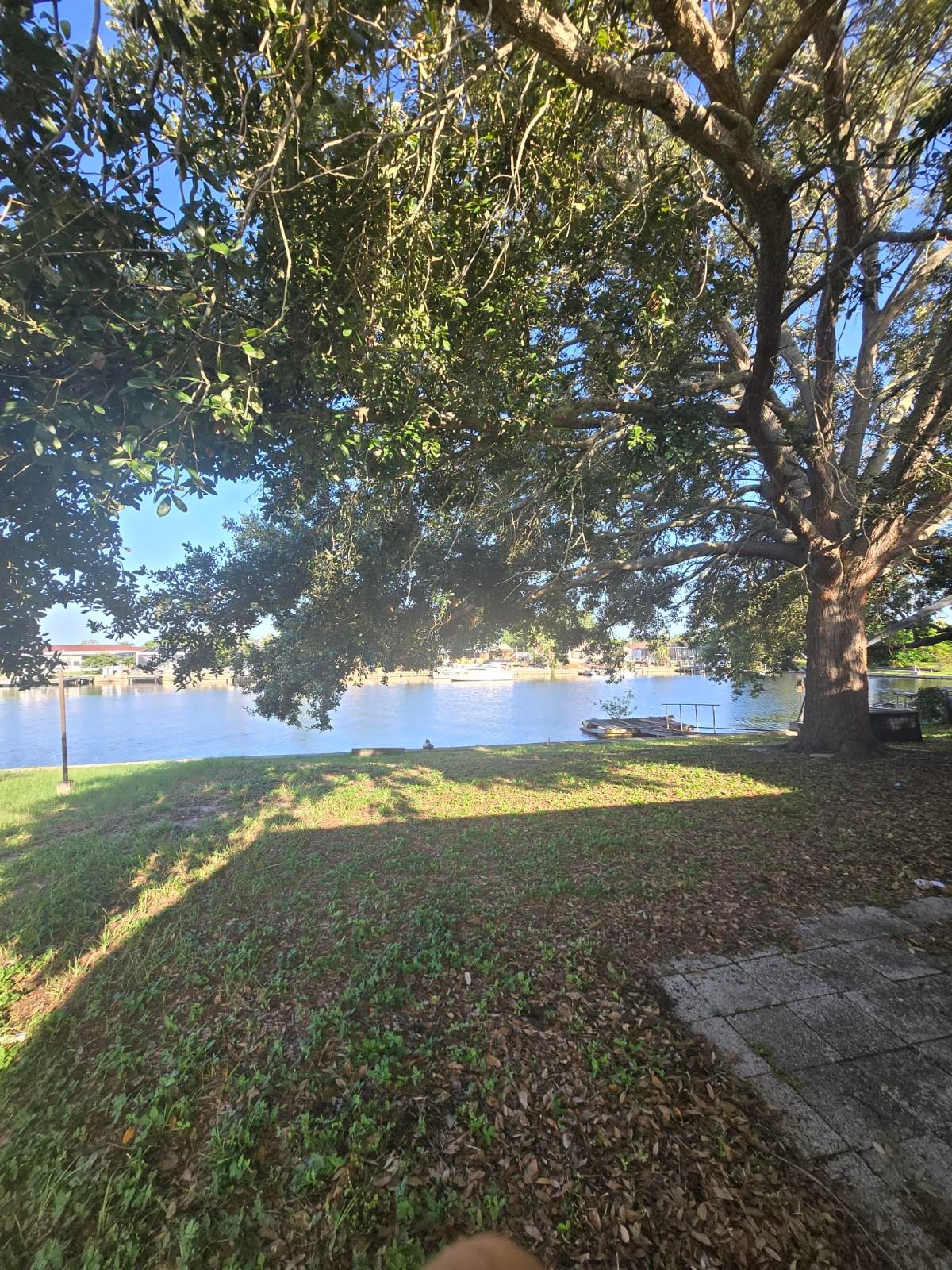All Photos for TREE BOYS in Ruskin, FL