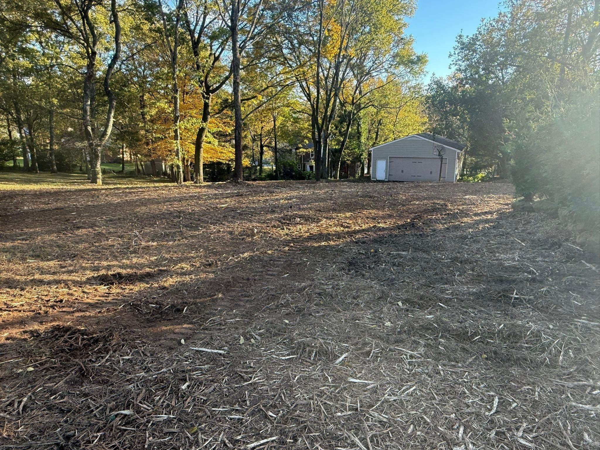  for TriStar Land Clearing & Mulching in Franklin, TN